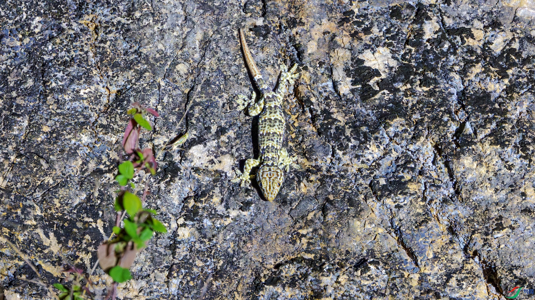 Z18_3222.jpg