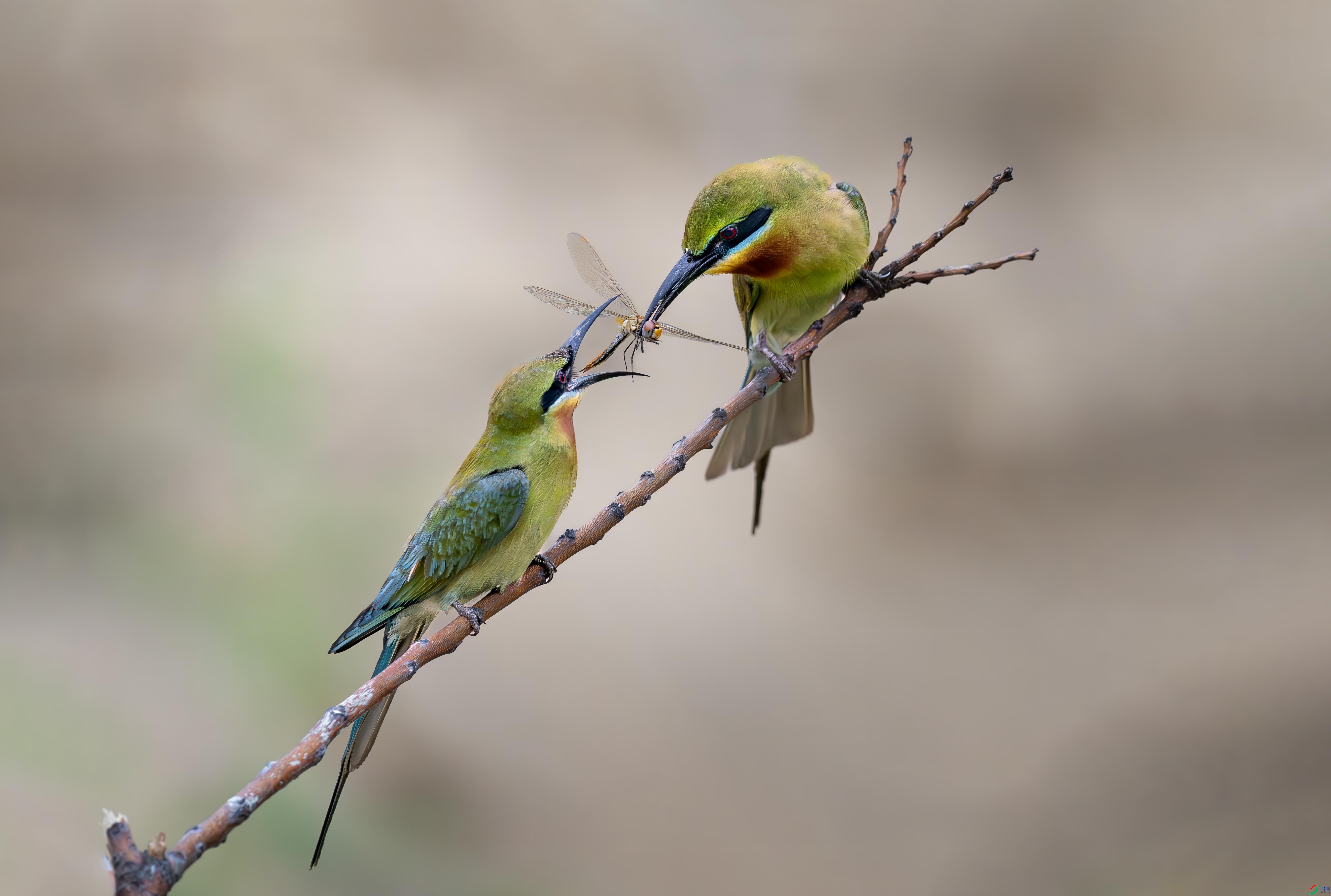 DSC_3278 ���� 2.jpg