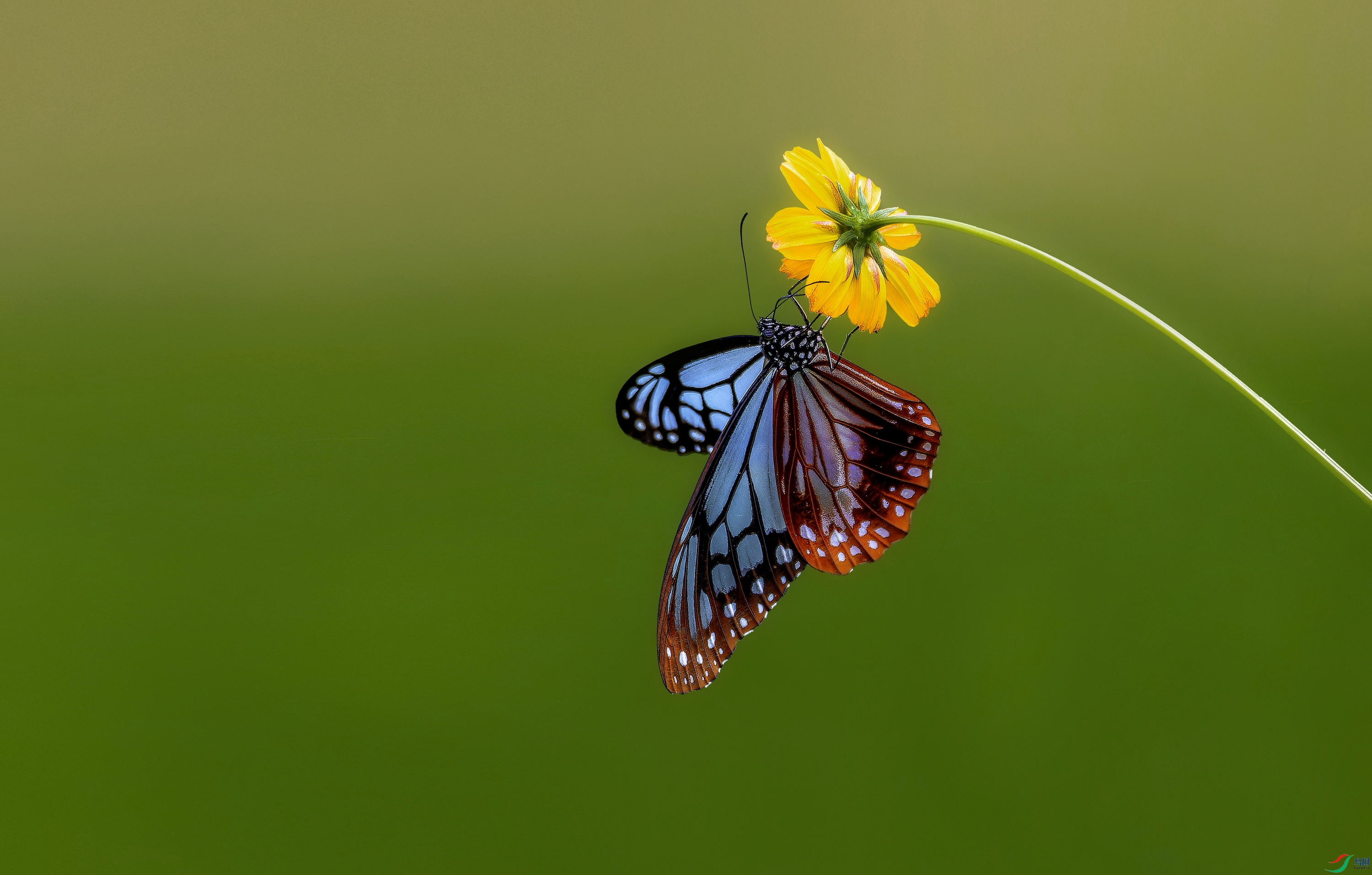 ���ߵ�B (2)-001.jpg