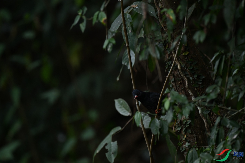 DSC_1197.JPG
