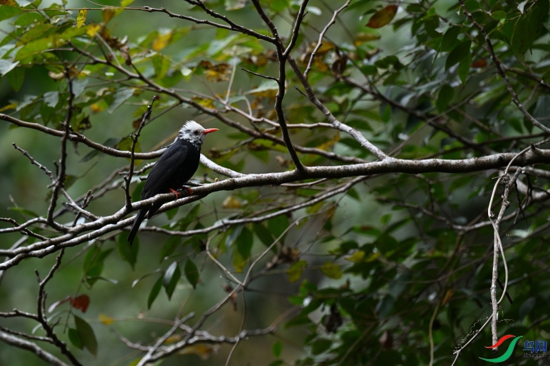 DSC_1380.JPG