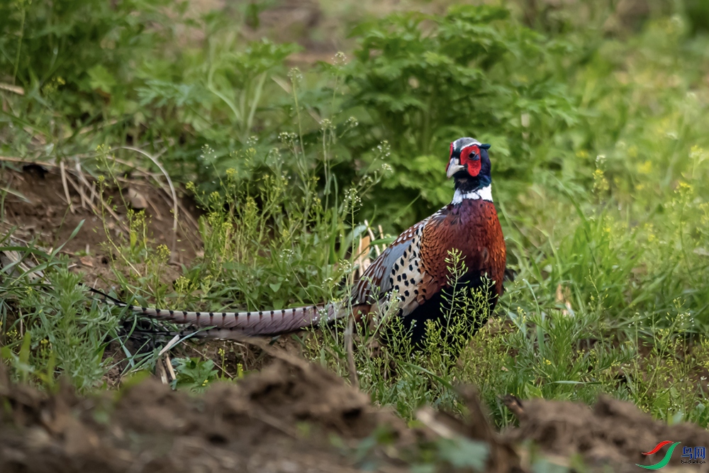 A63I2258_2 - ���� ����.jpg