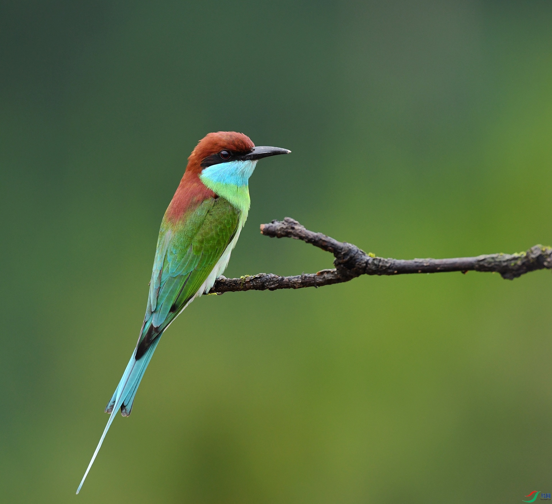 DSC_2452.jpg