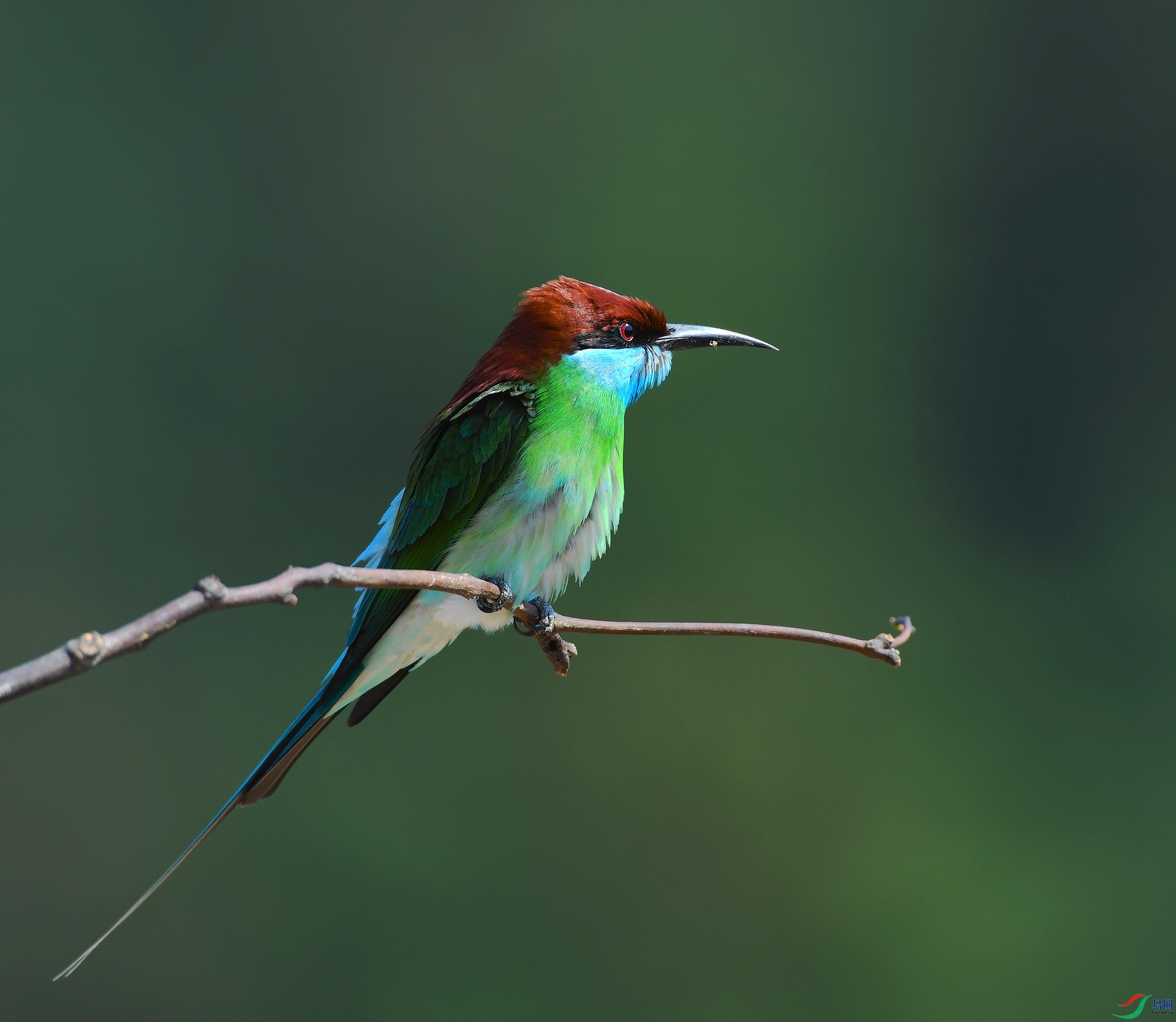 DSC_1763.jpg