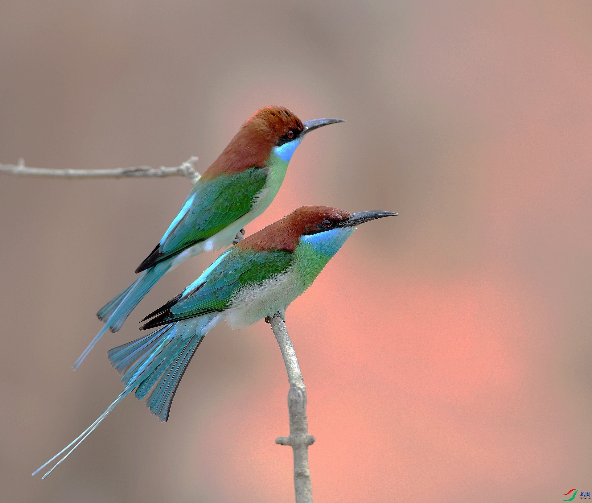 DSC_1753.jpg