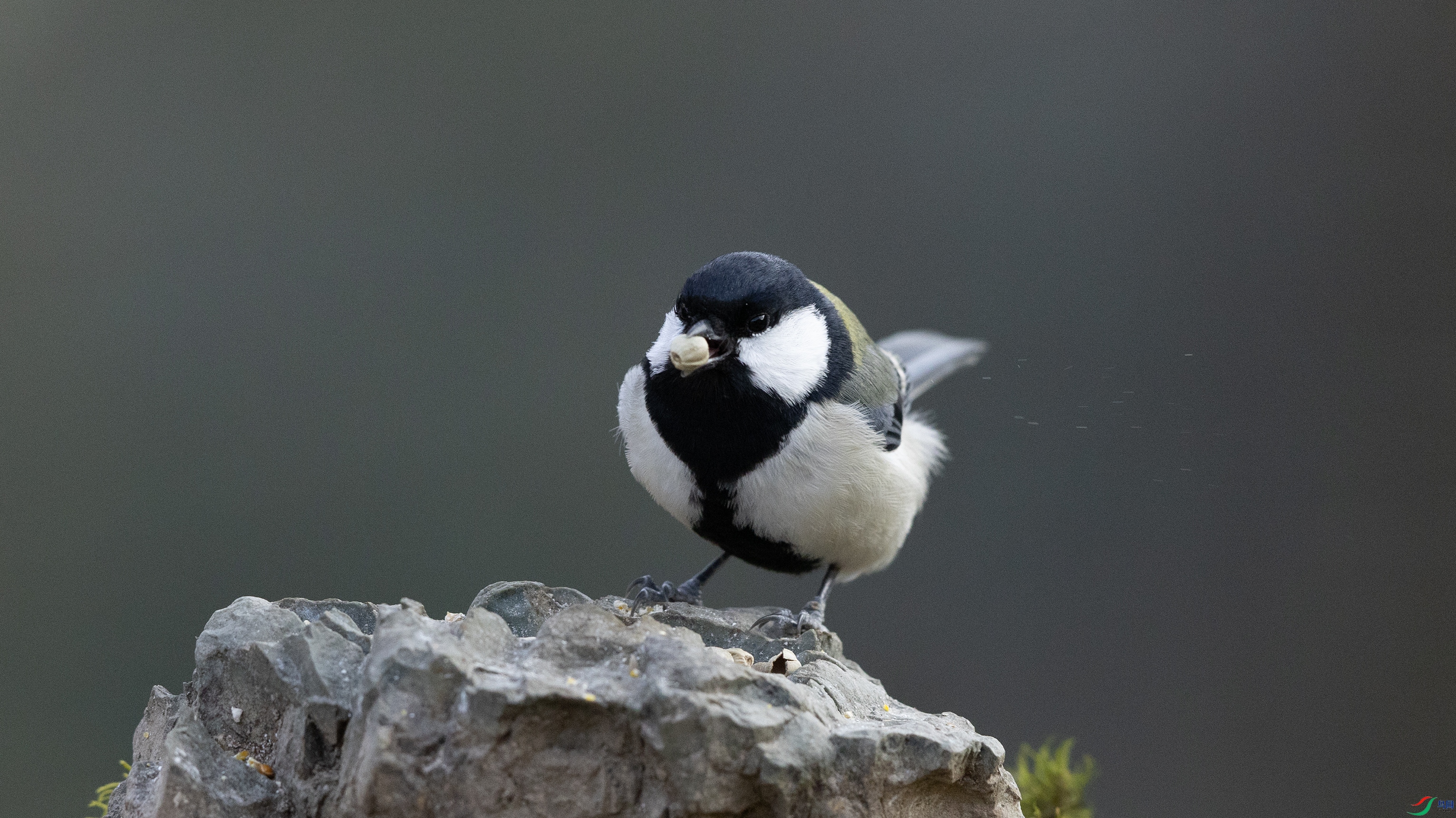 7X5A3625 ����.jpg