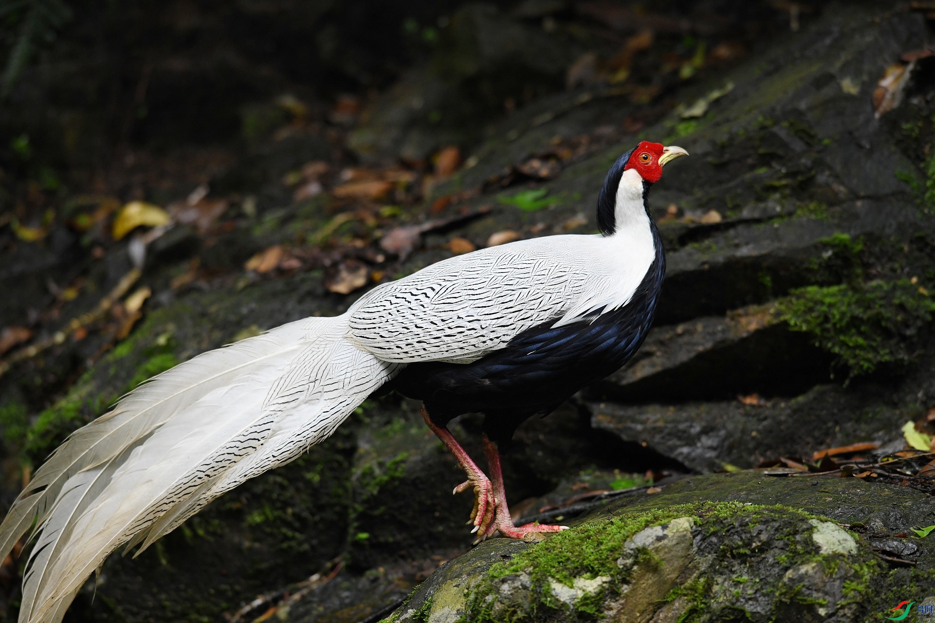 DSC_8377.jpg