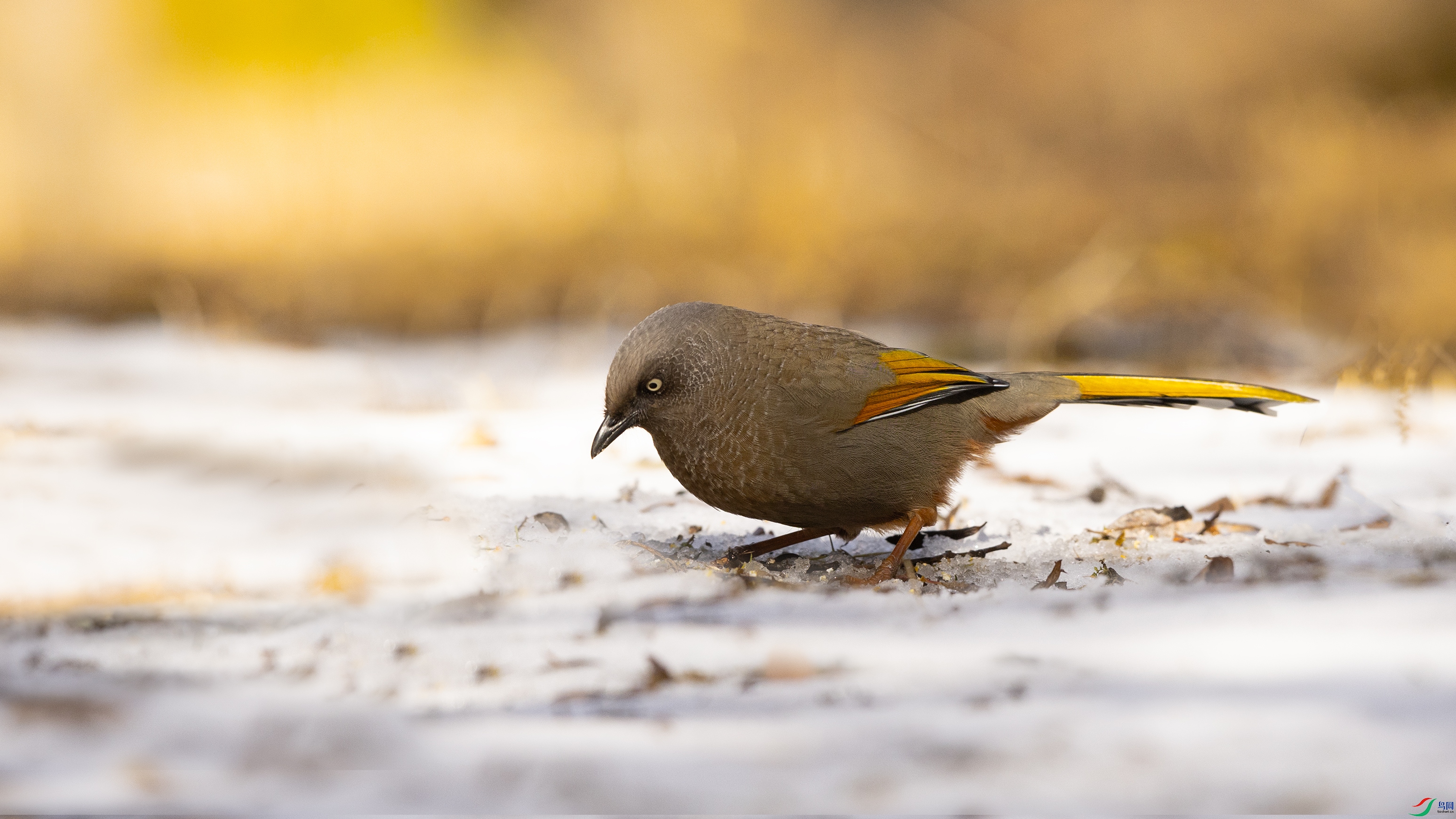 7X5A1261 ����.jpg