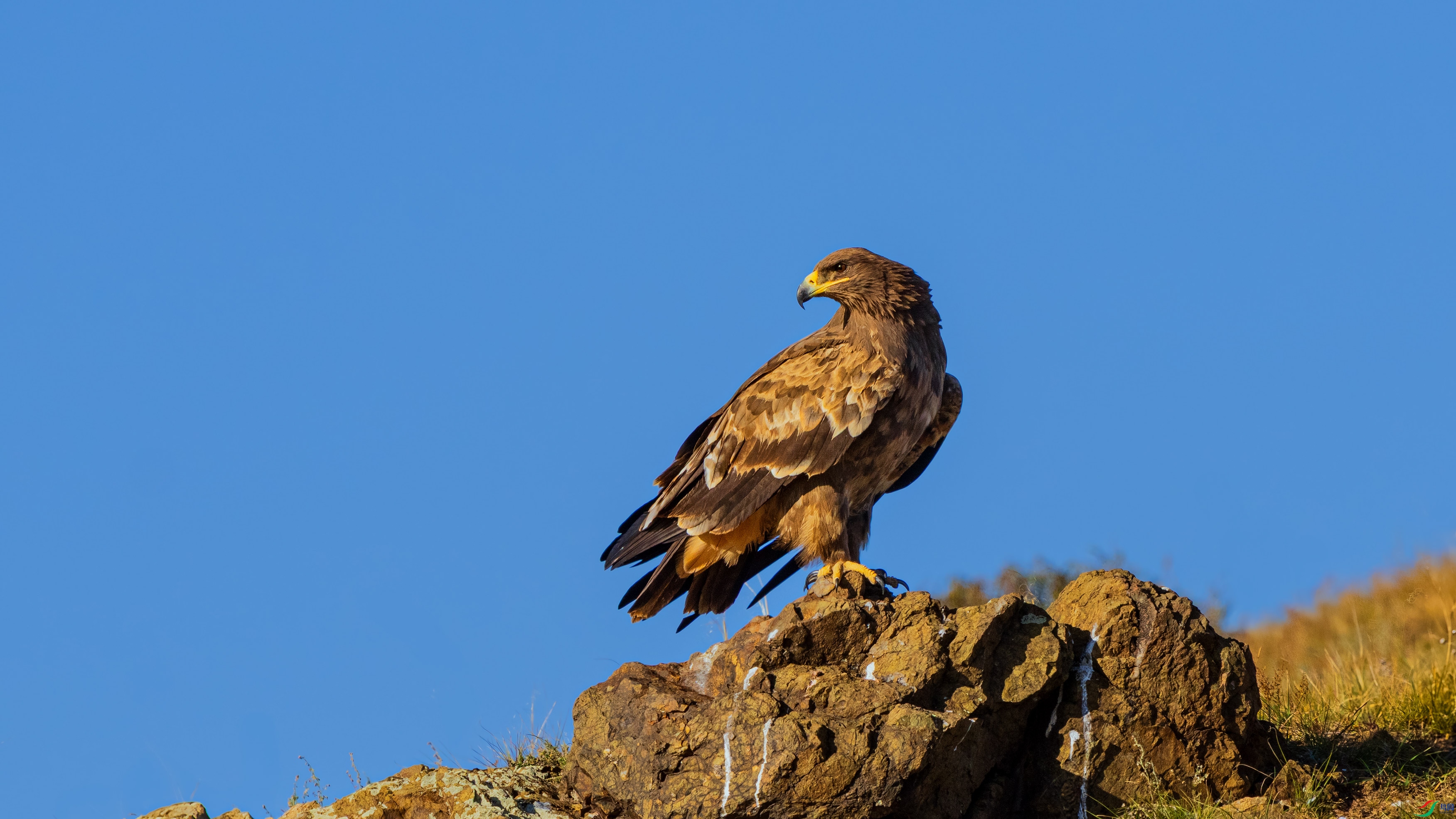 ��_DSC6570_����.jpg