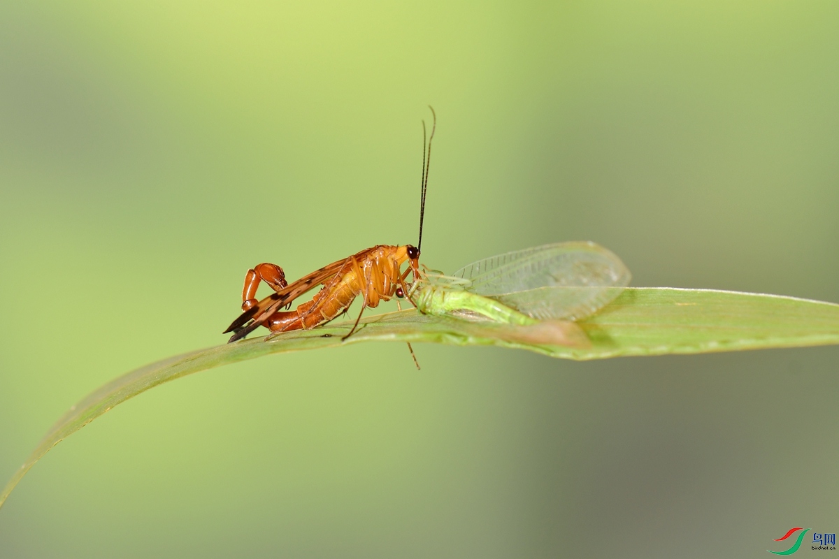 DSC_2447_����.jpg
