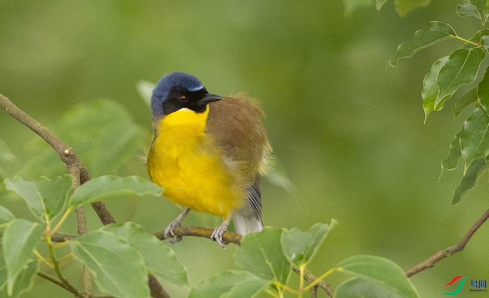 ������� (6).jpg