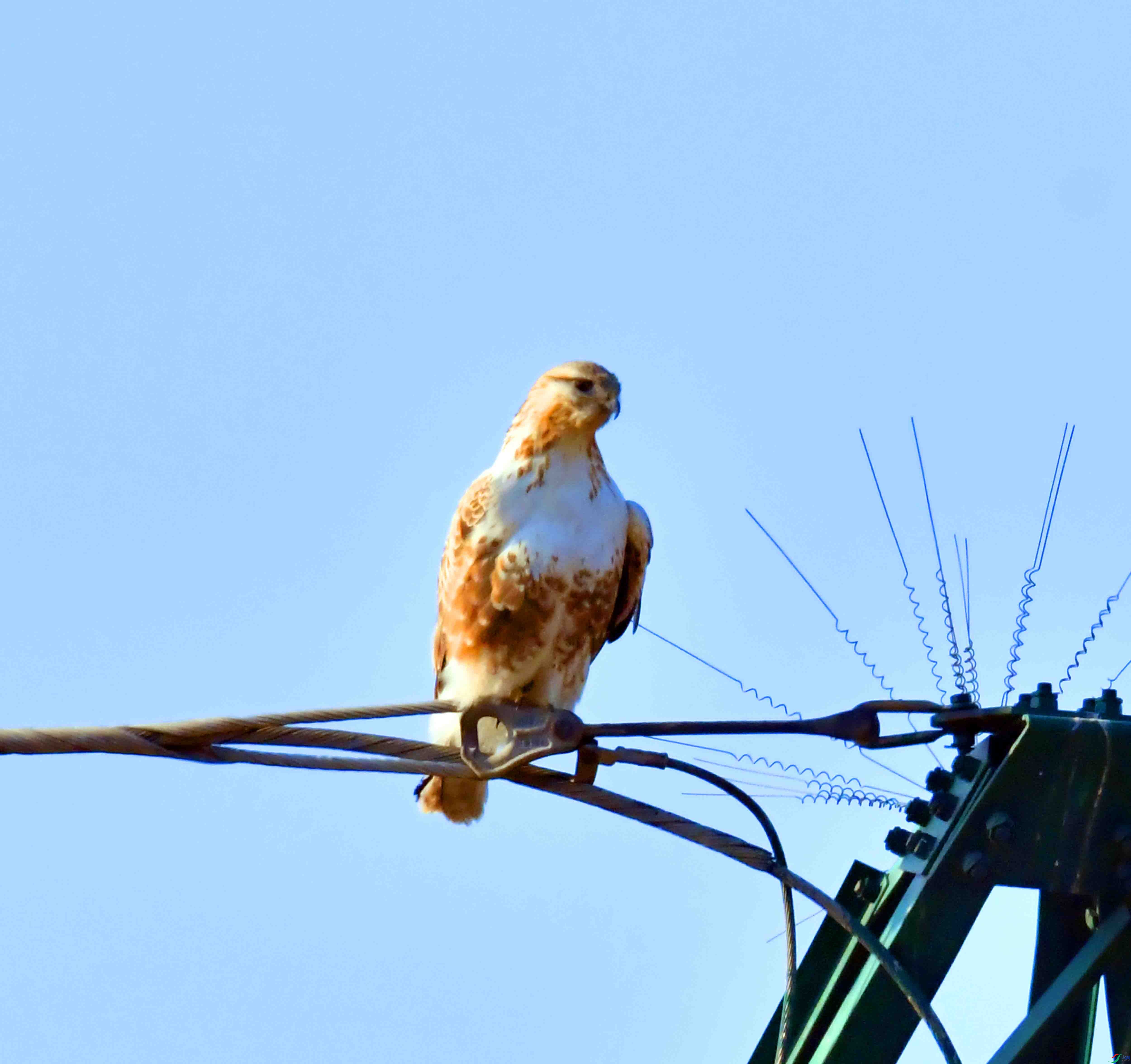 DSC_1349.JPG
