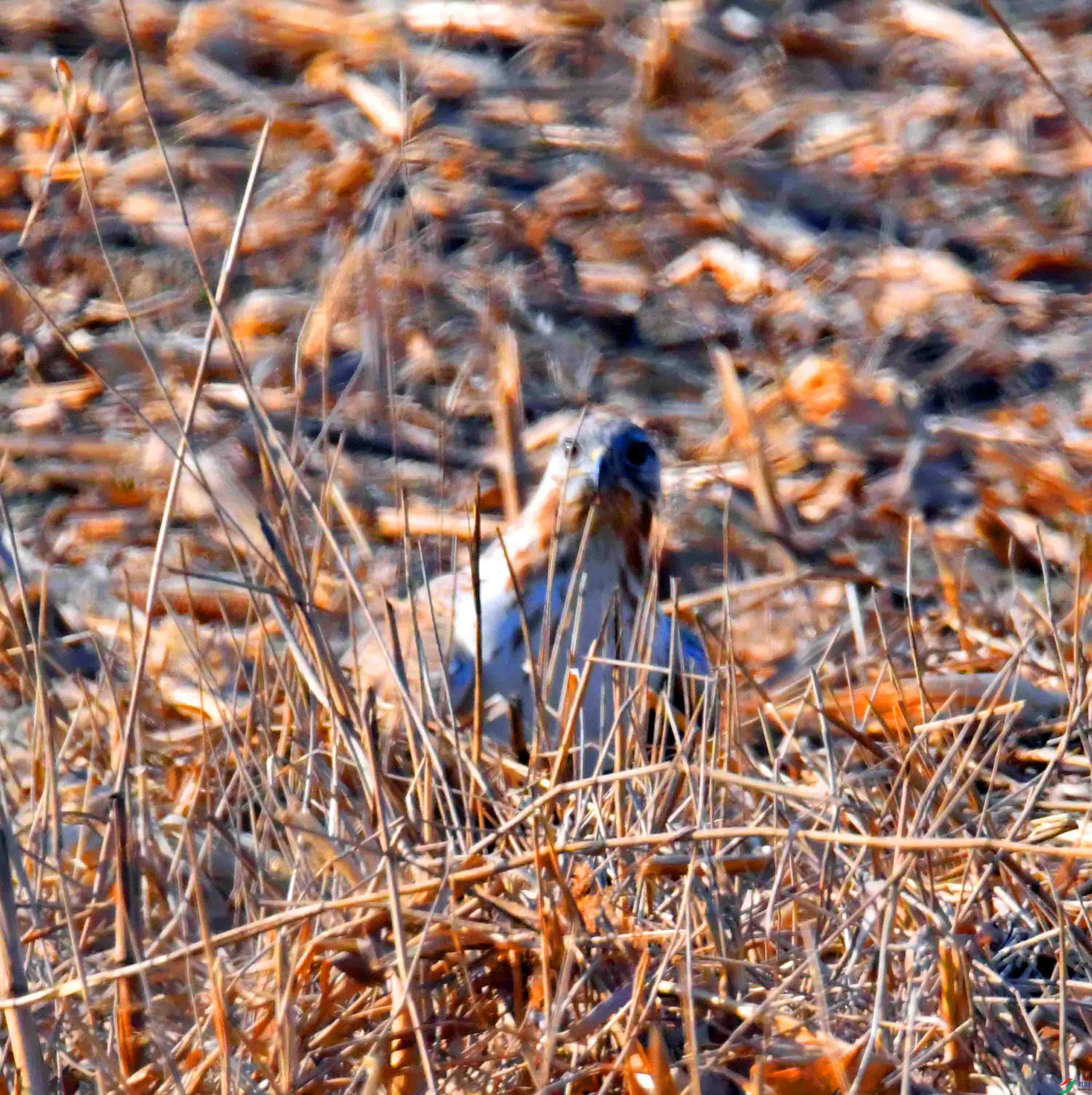 DSC_1359.JPG