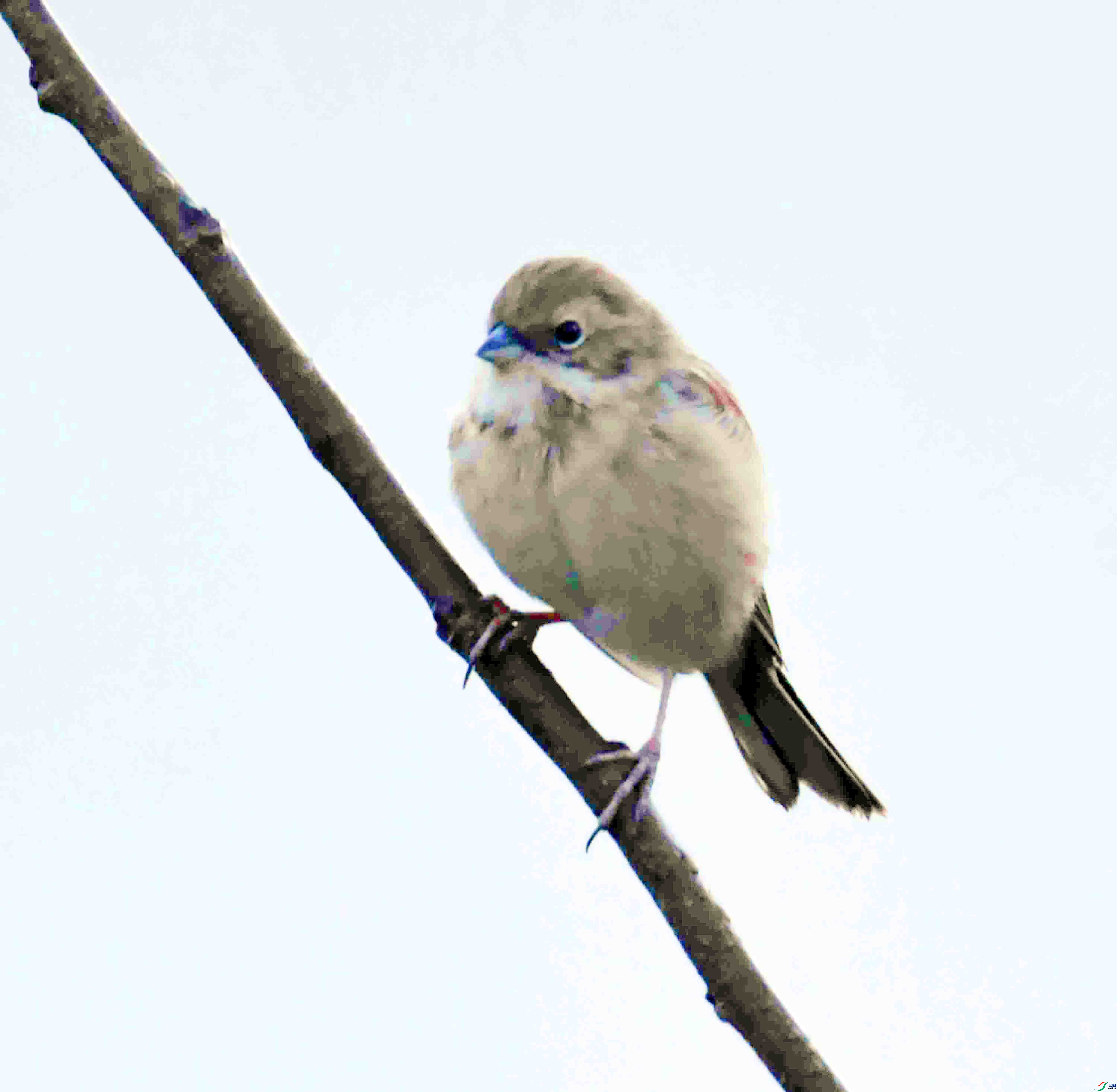 DSC_5409.JPG
