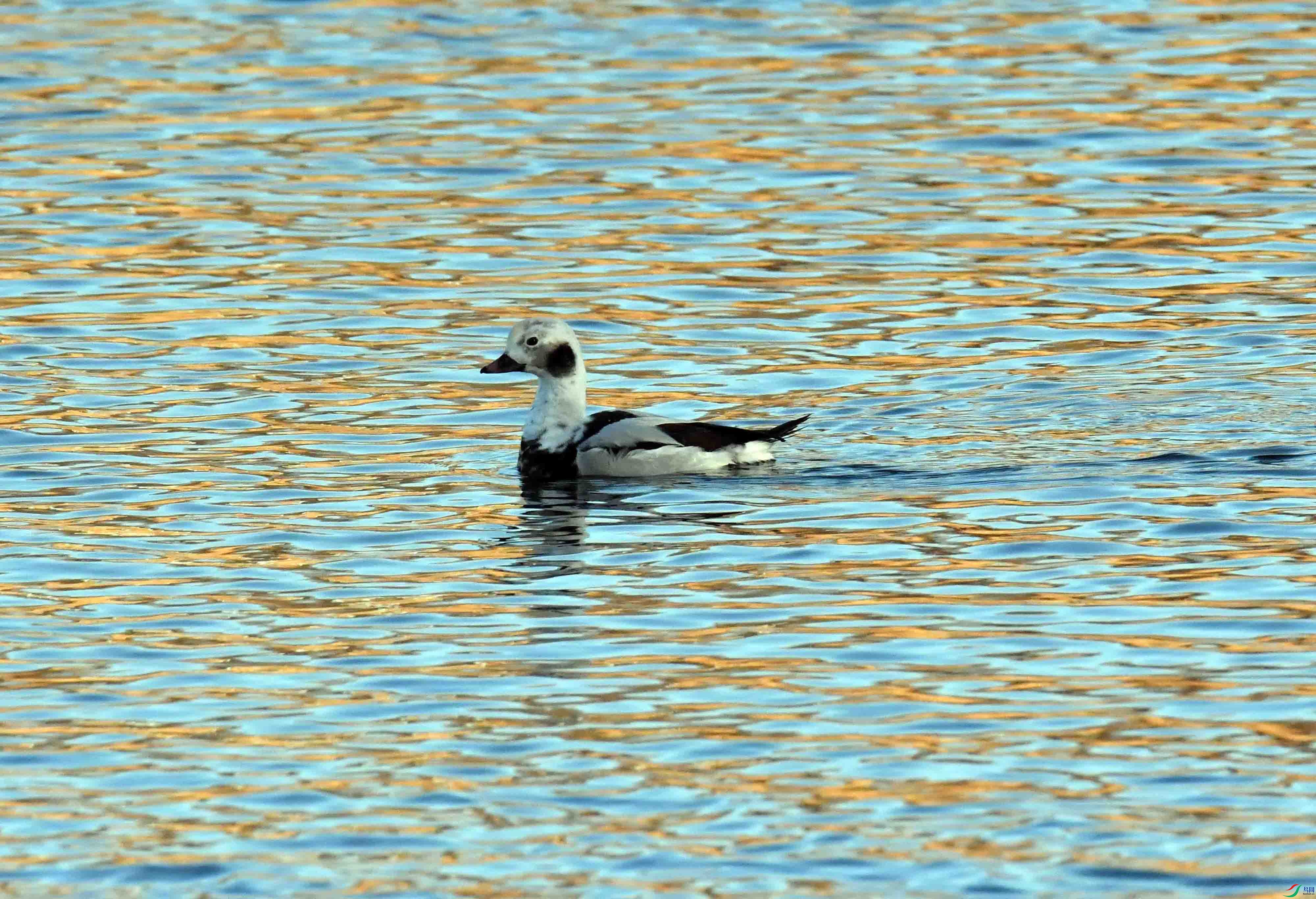 DSC_7295.JPG