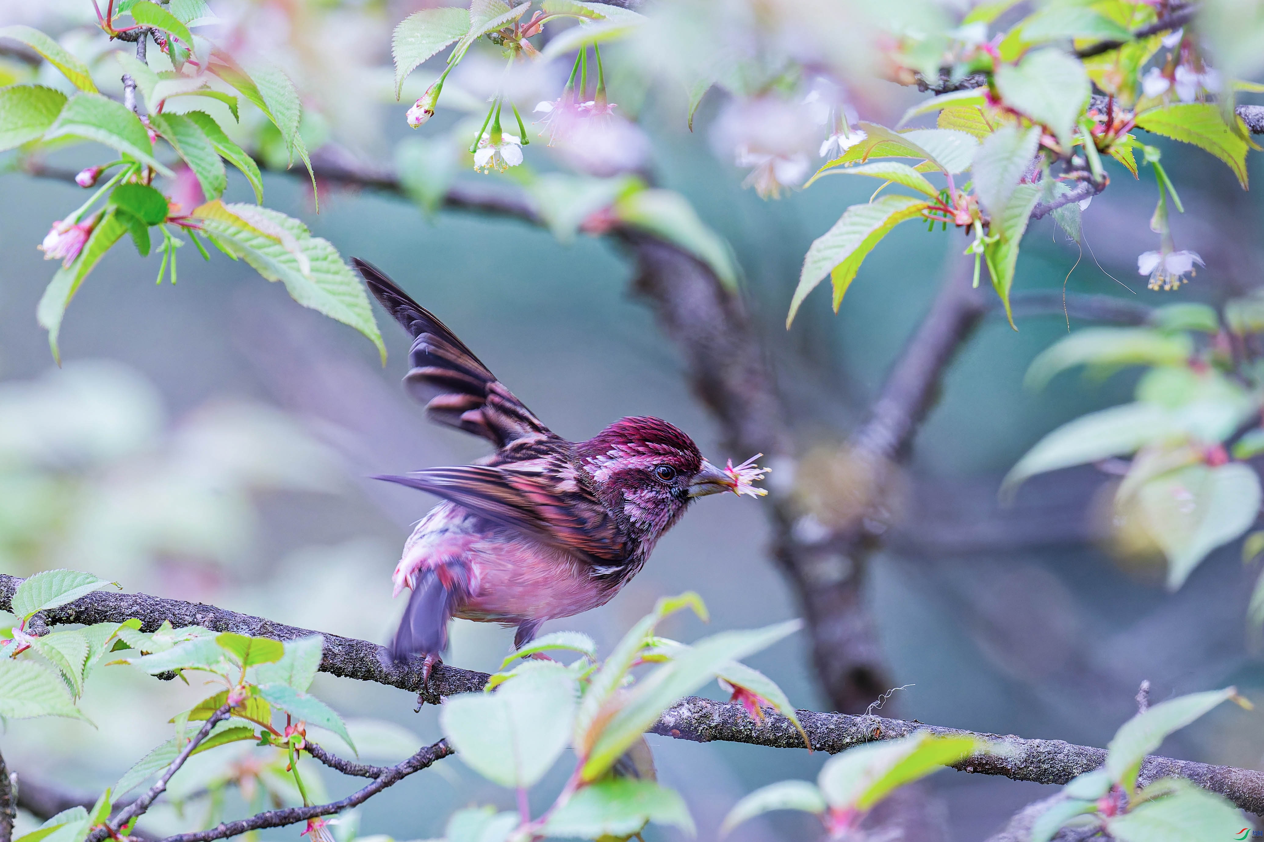 DSC_4466_DxO ����.jpg