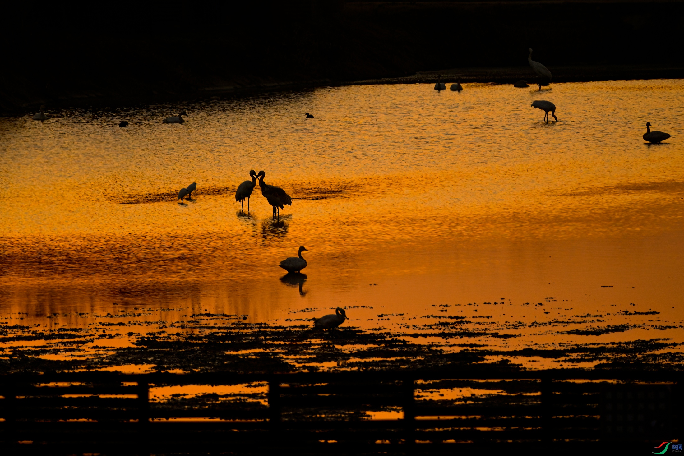 _DSC9653x.jpg