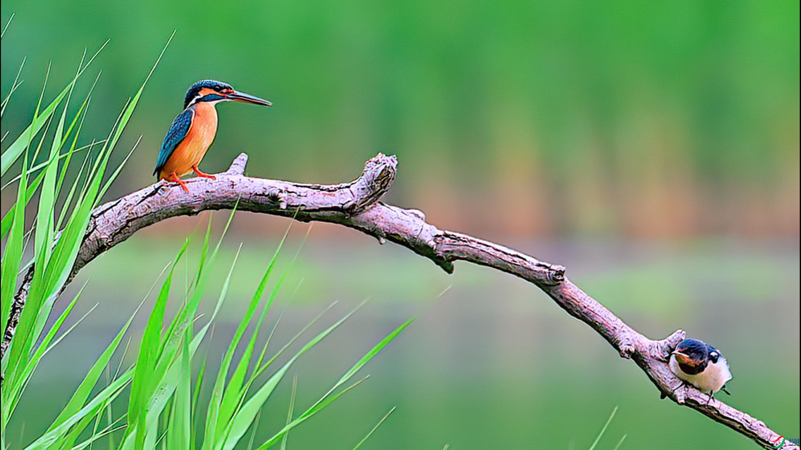 С���ӱ����ʹ��������