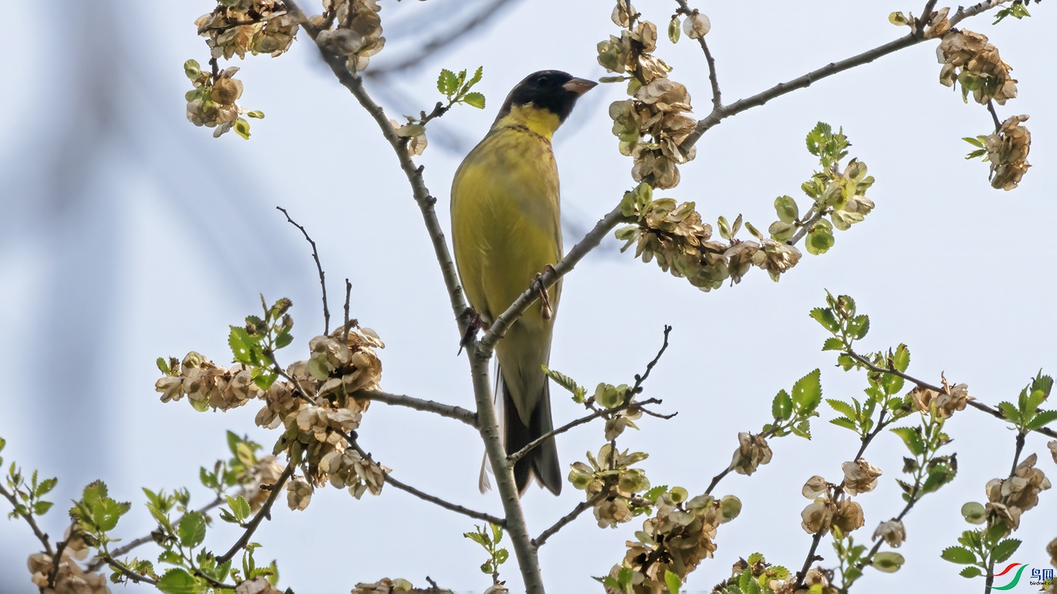 3U2A3110 ���� 2.jpg