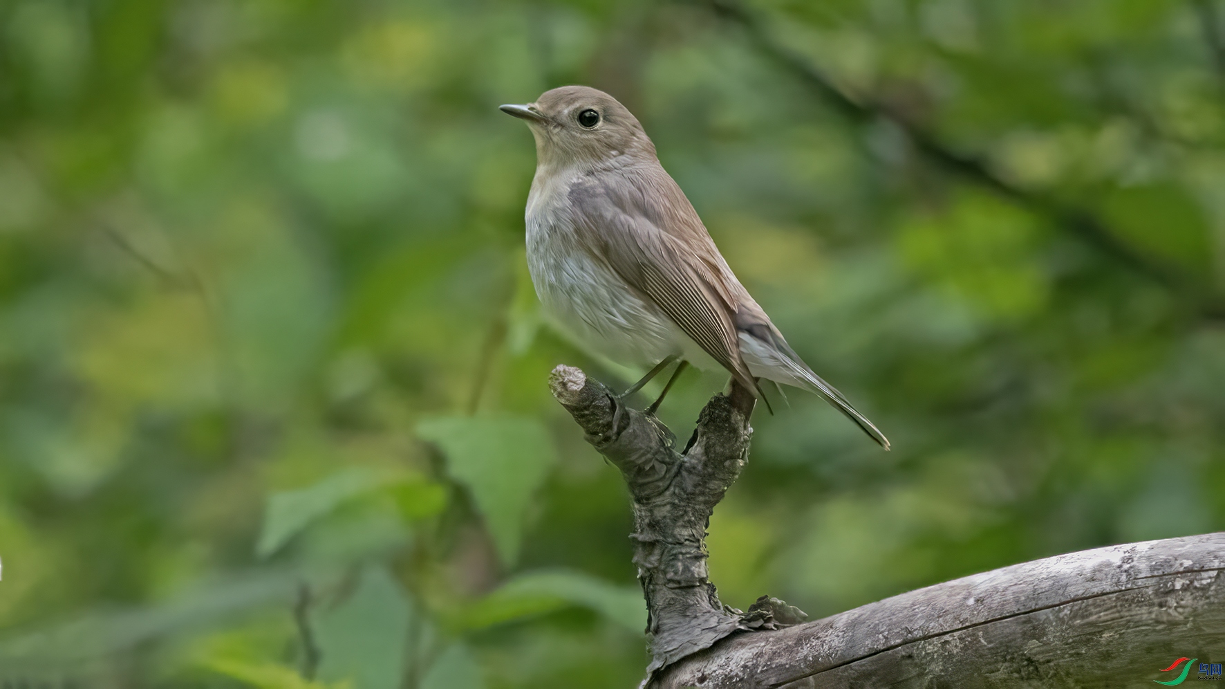 3U2A4081 ���� 2.jpg