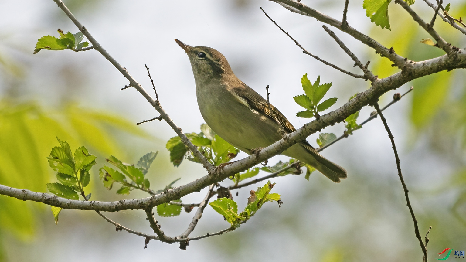 3U2A5998 ���� 2.jpg