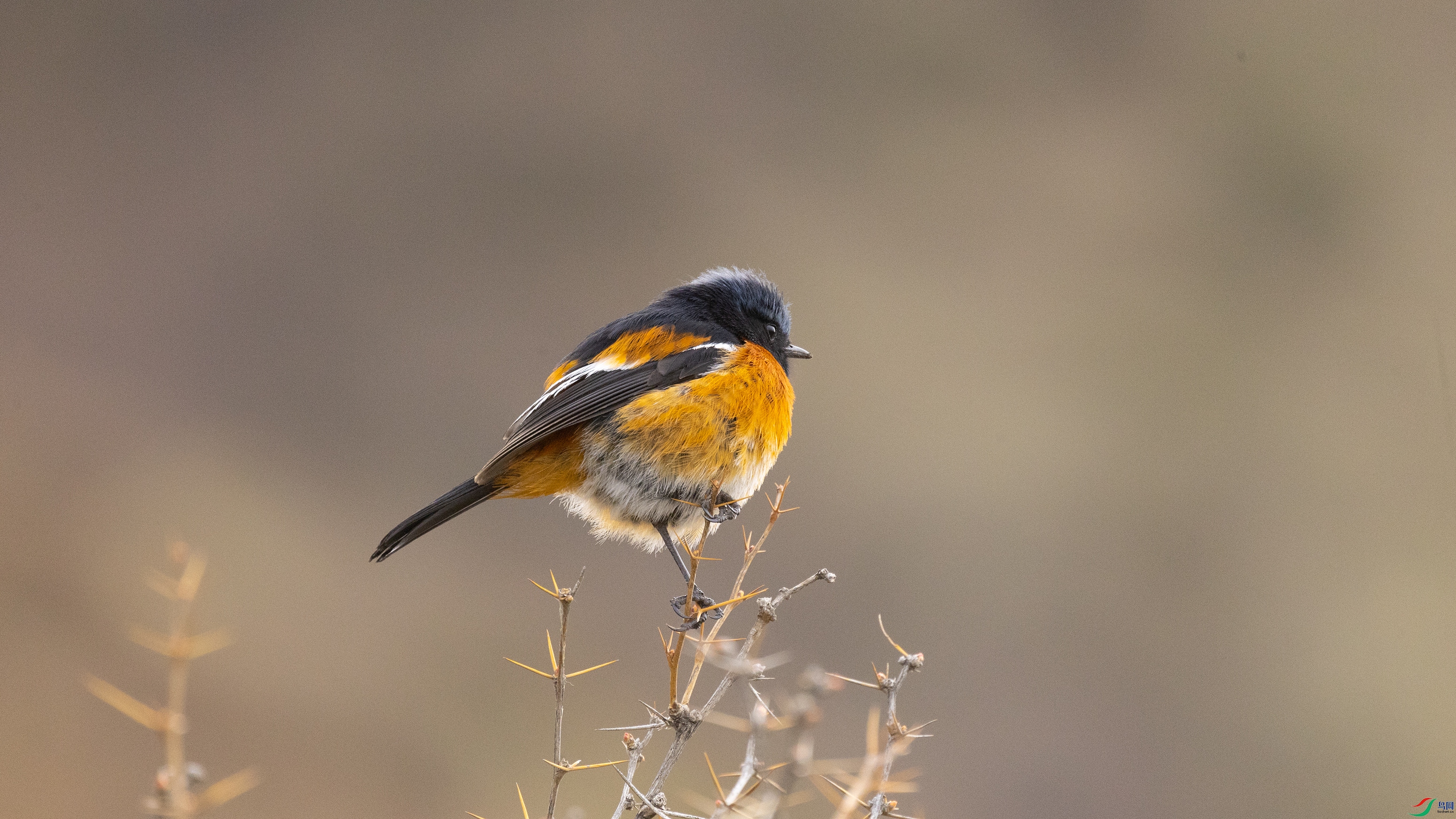 7X5A0223 ����.jpg