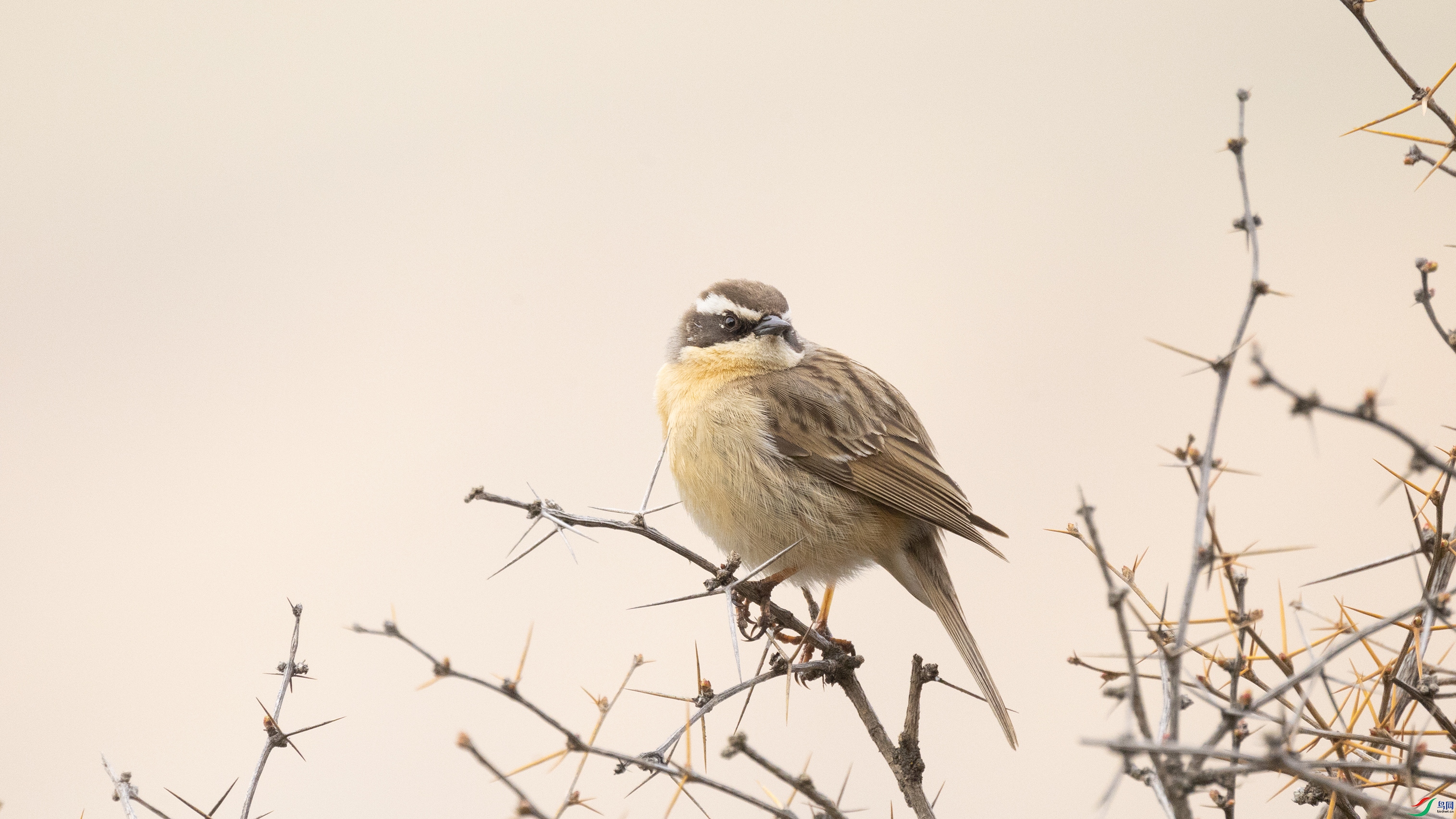 7X5A0161 ����.jpg