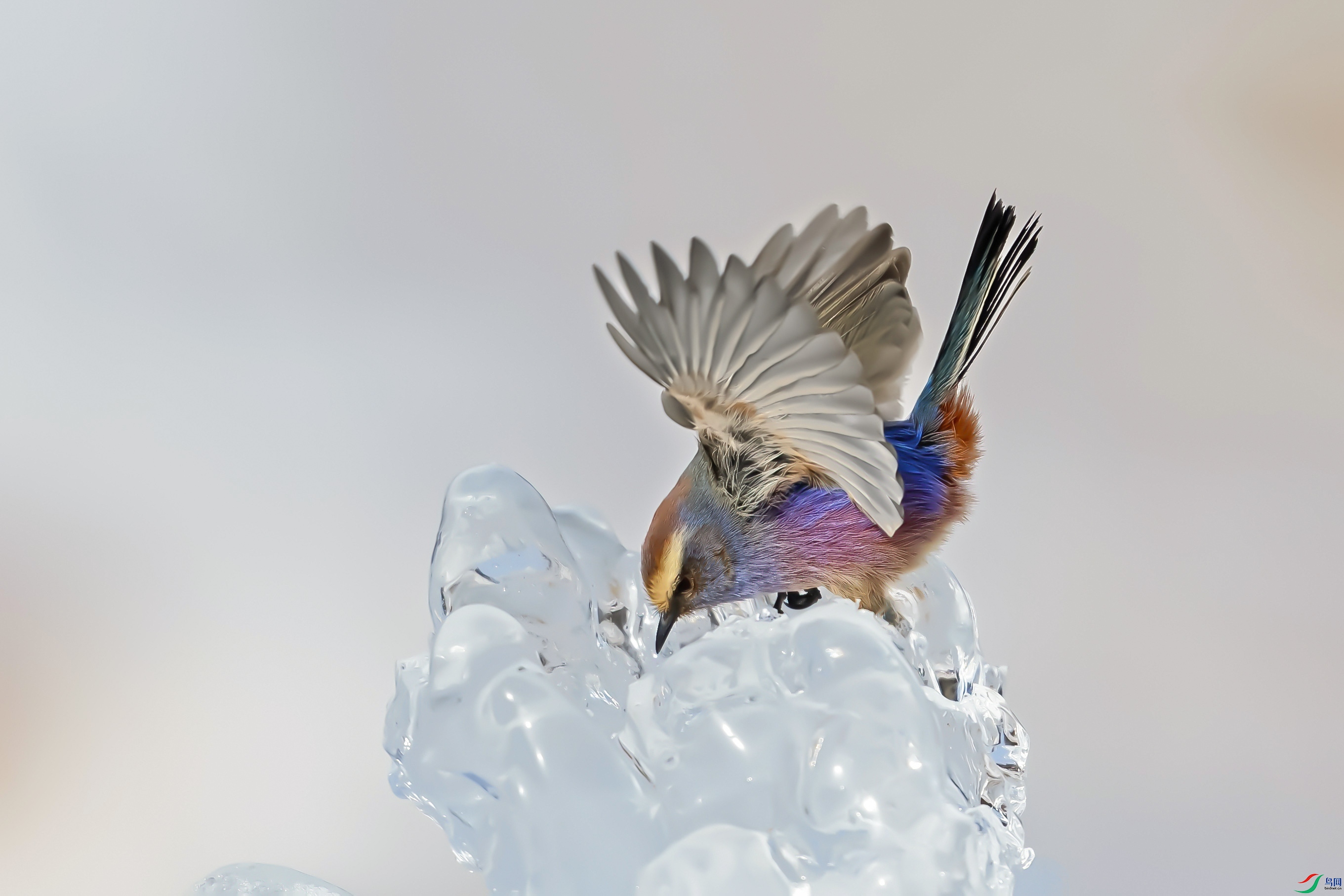 DSC_3179.jpg