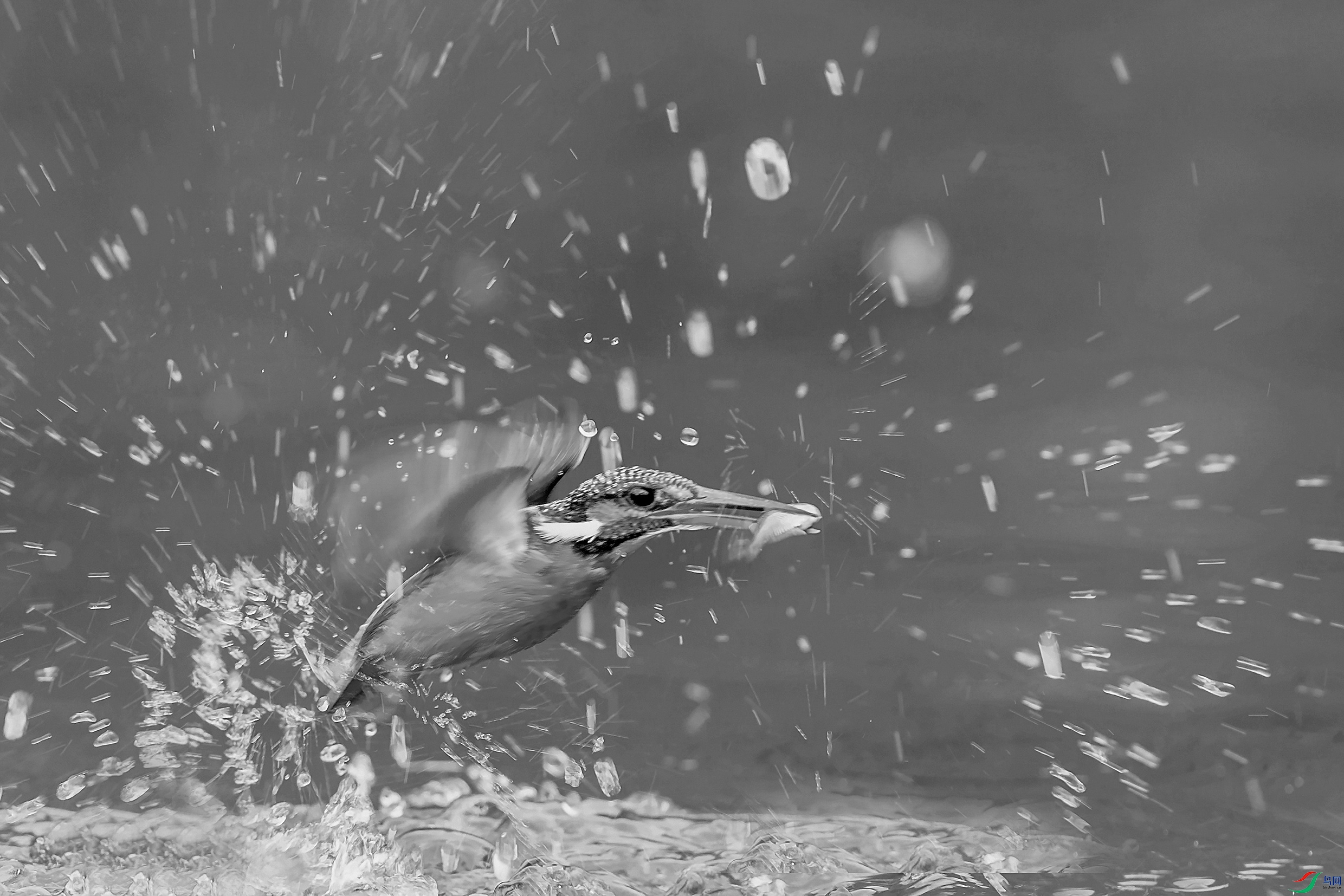 C09R9221 ����.jpg