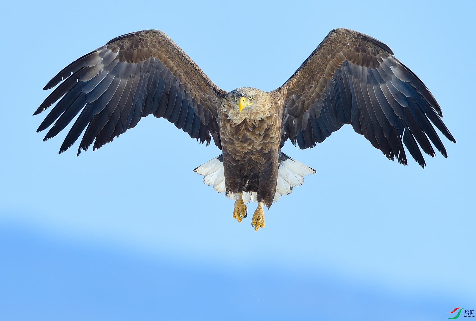 DSC_4106.JPG