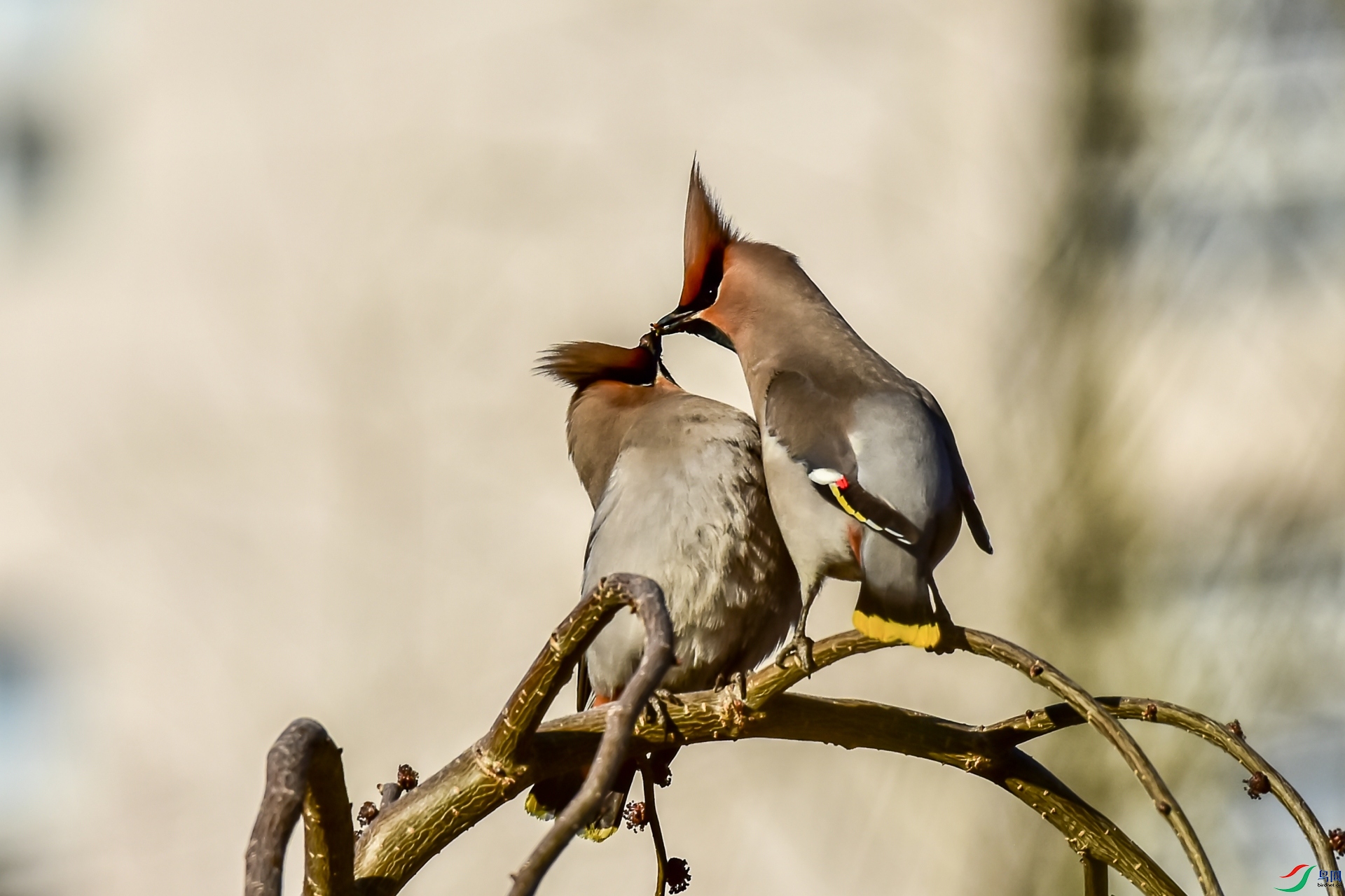 DSC_7623_����.jpg