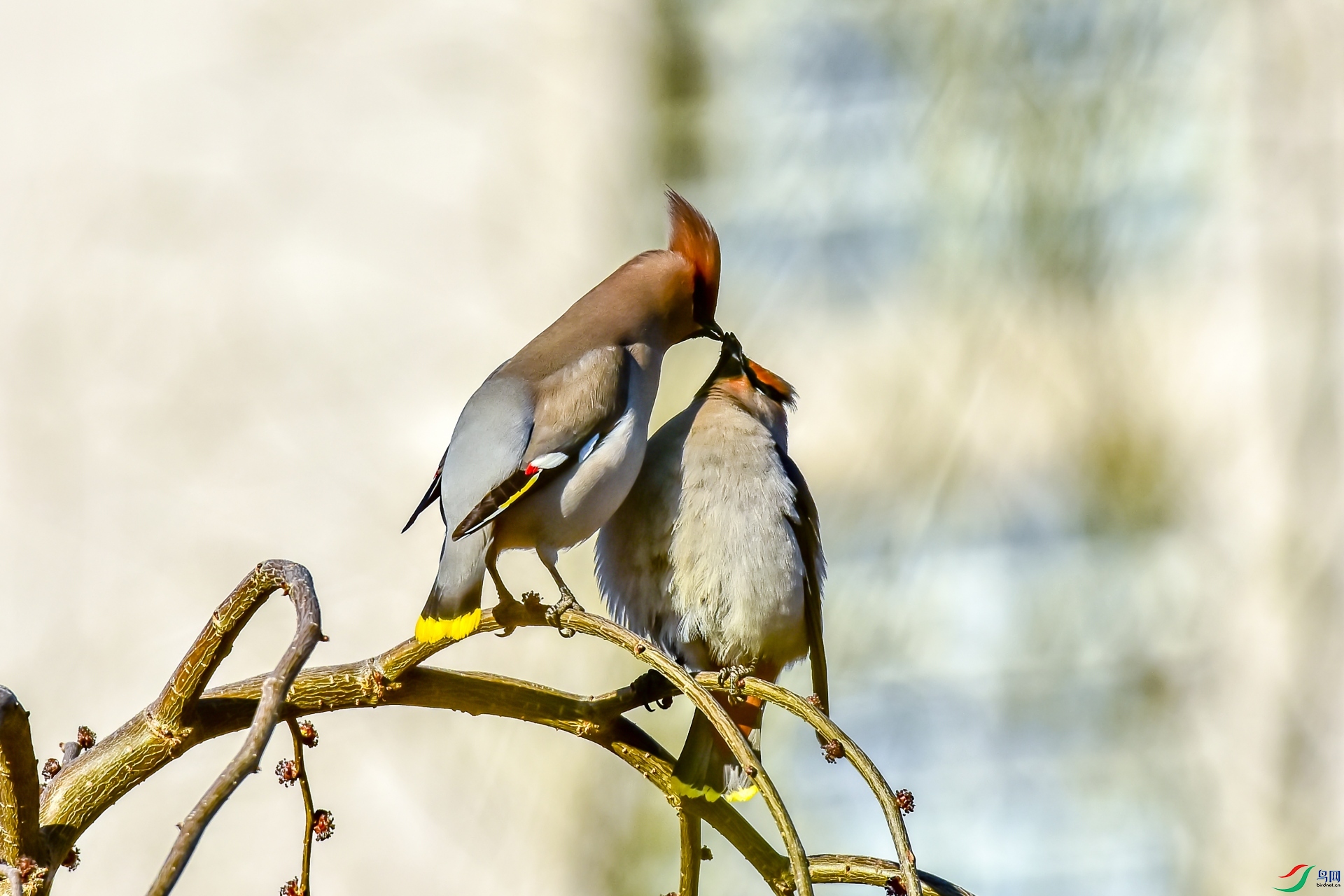 DSC_7618_����.jpg