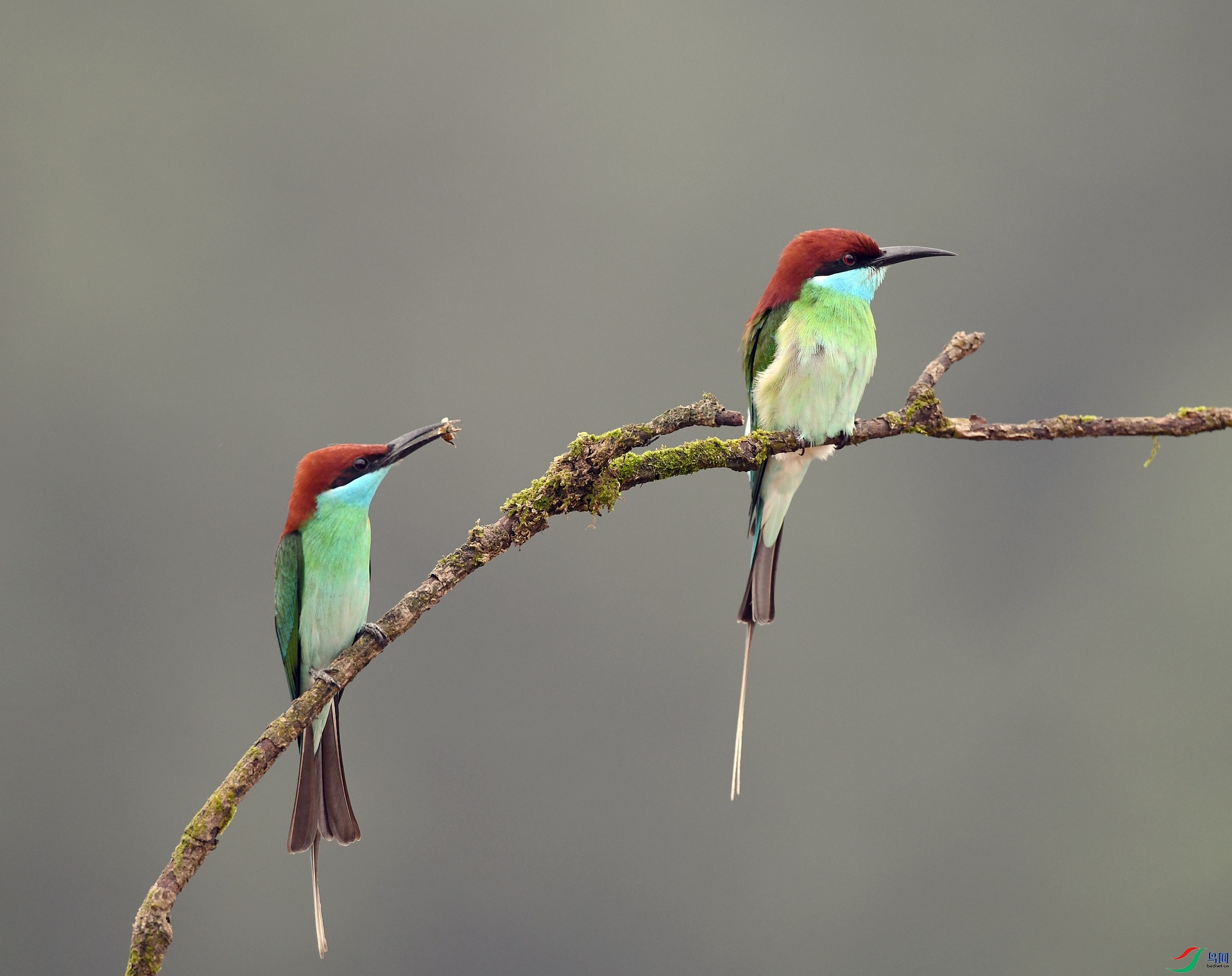 DSC_0745.jpg