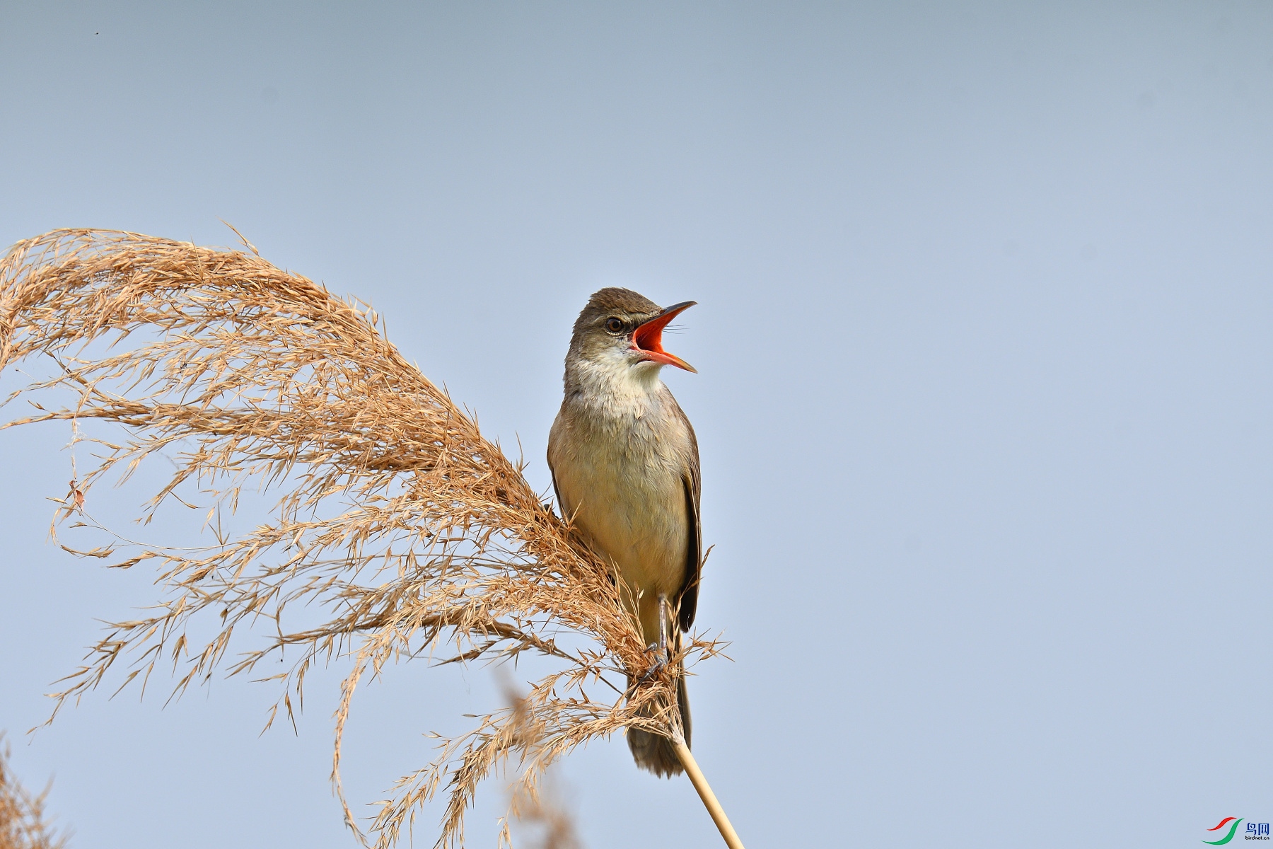 DSC_0079.JPG