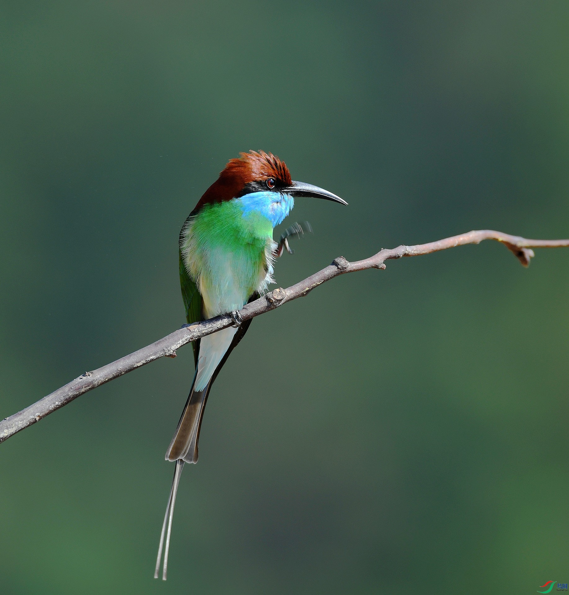 DSC_1425.jpg