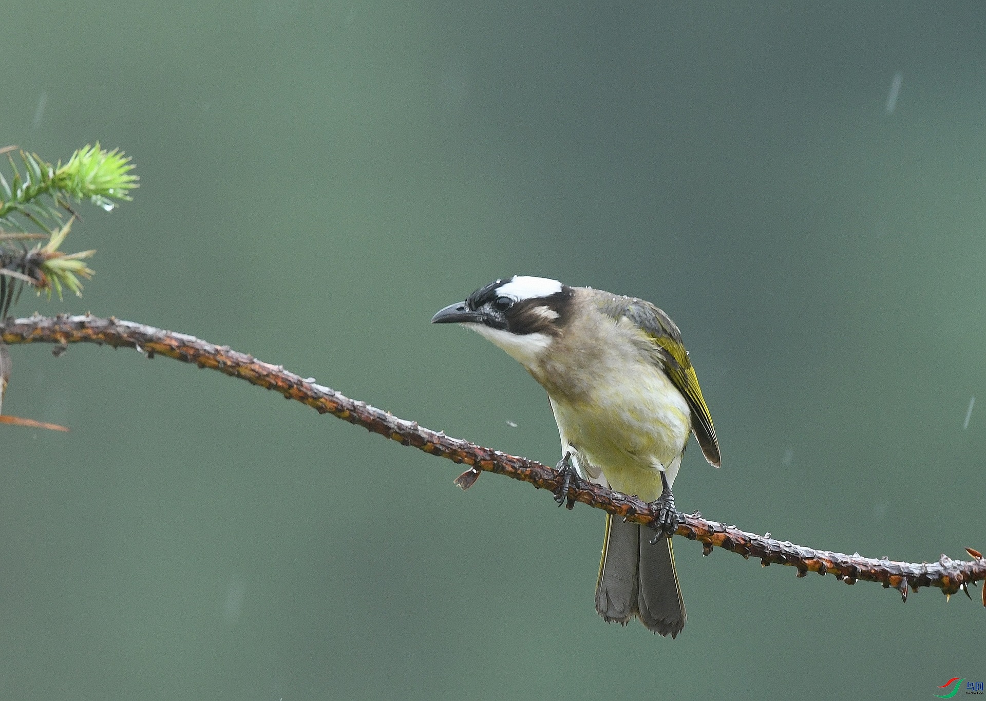 DSC_2306.jpg