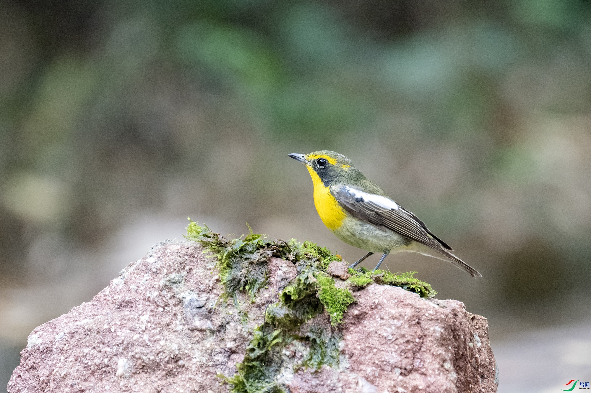 DSC_8166.jpg