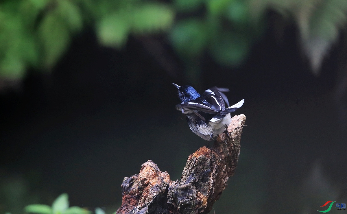 ���� IMGL1236ȵ�.JPG