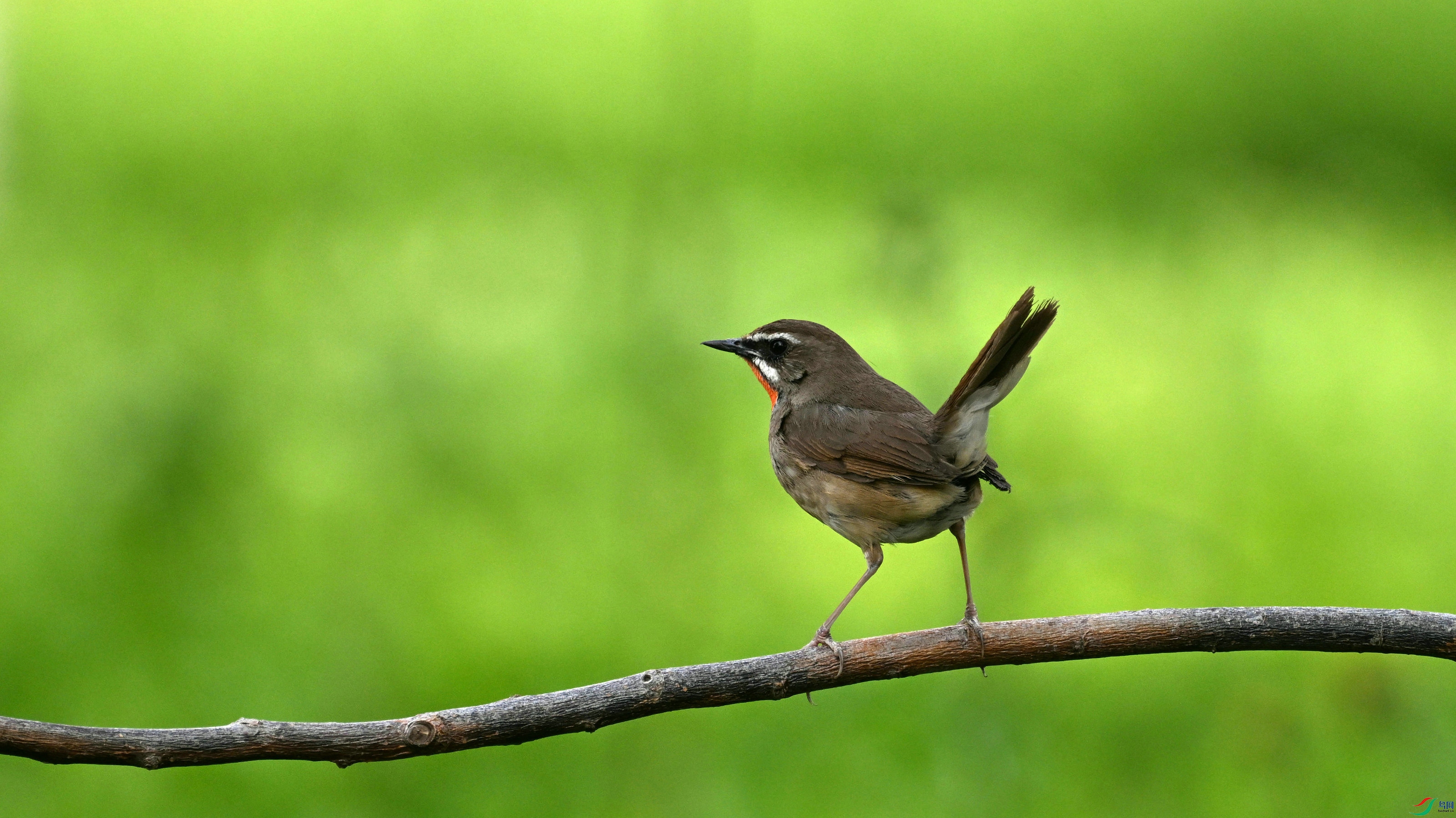 DSC_4670.JPG