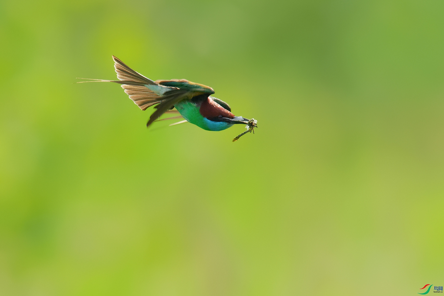 DSC_7869_DxOa.jpg