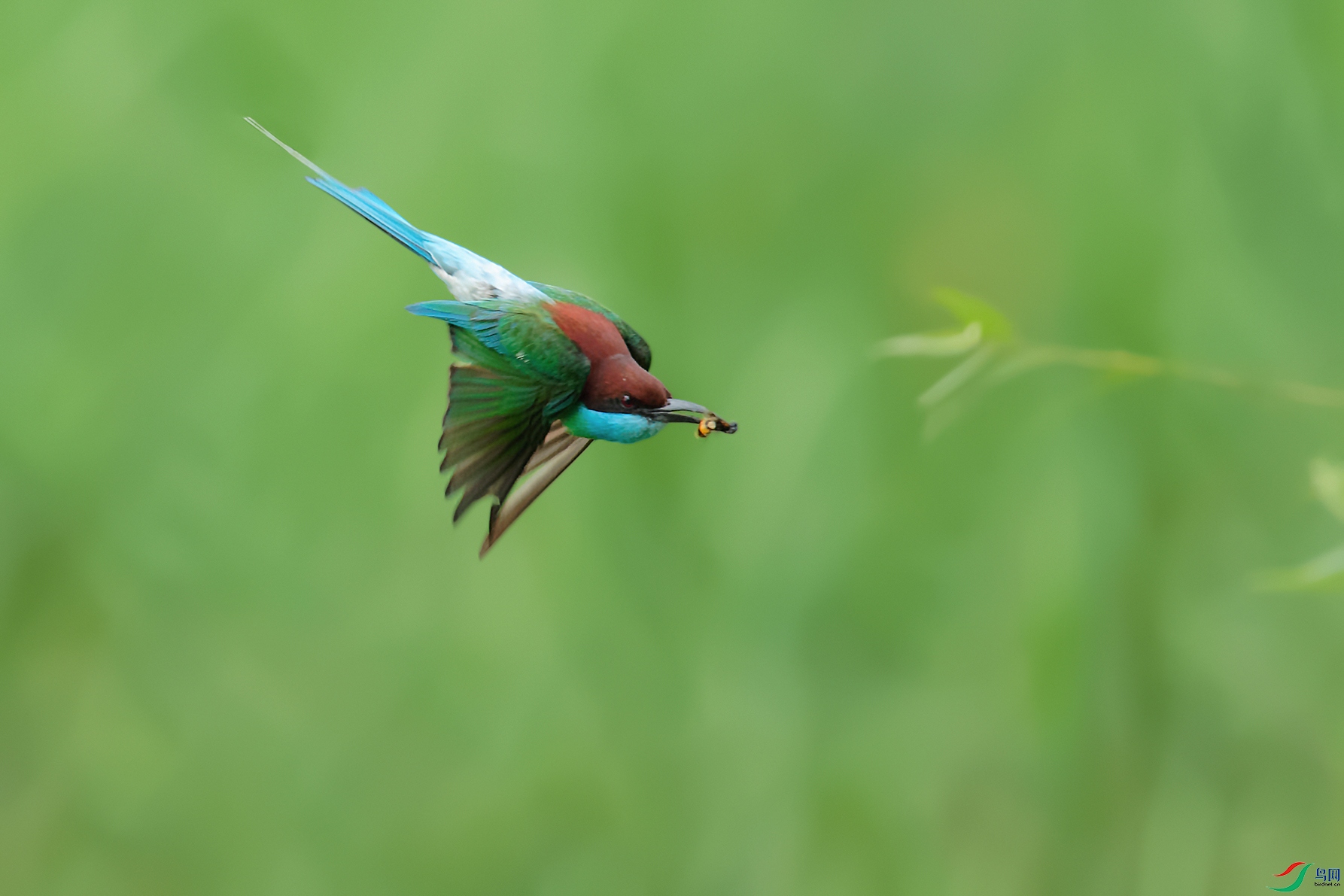 DSC_7318_DxOa.jpg