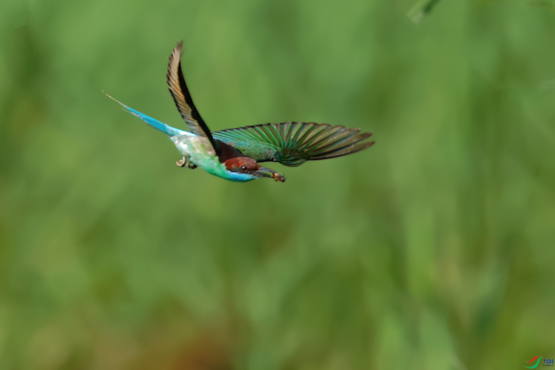 DSC_7239_DxOab.jpg