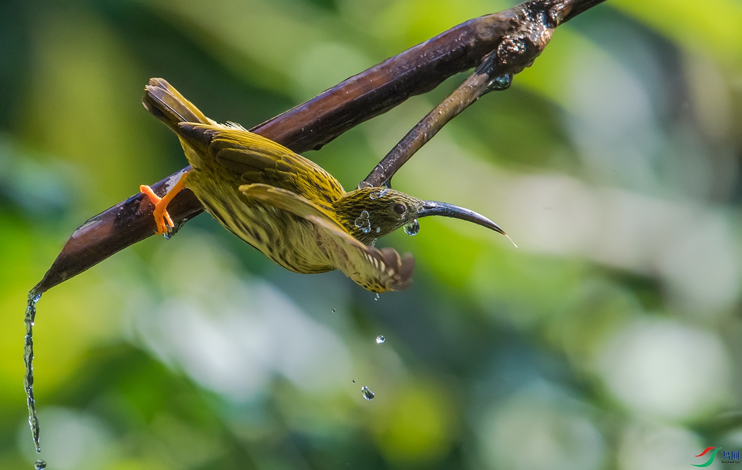 DSC_99861.jpg