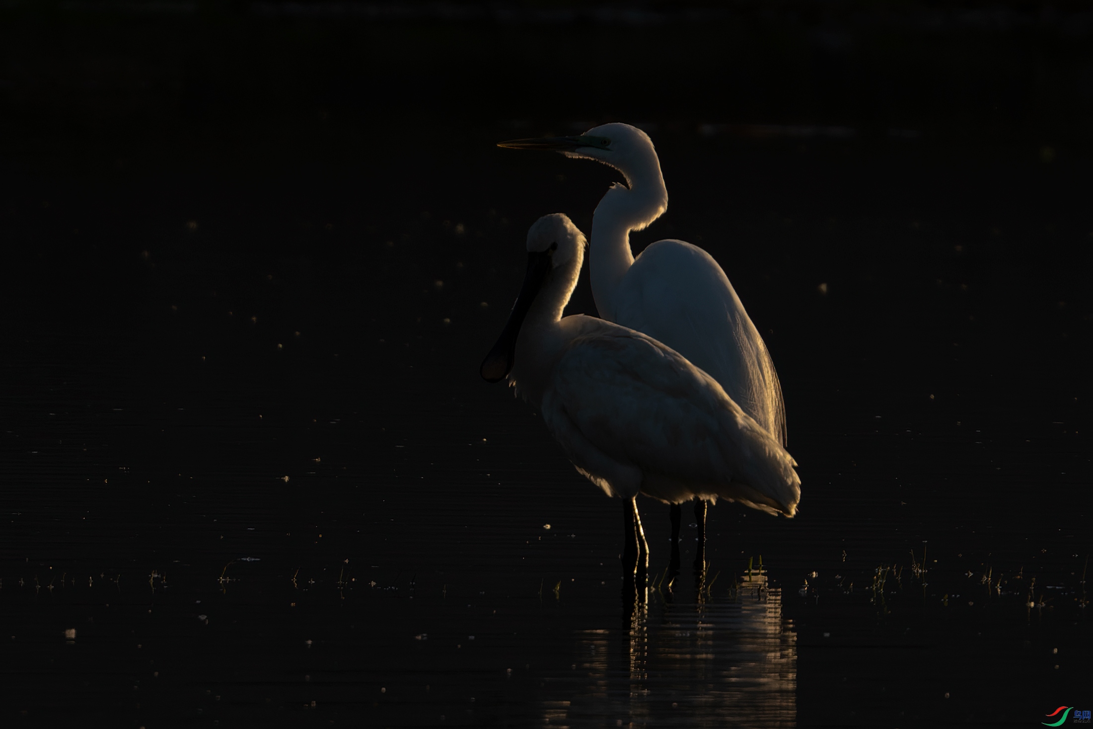 DSC_4718.jpg