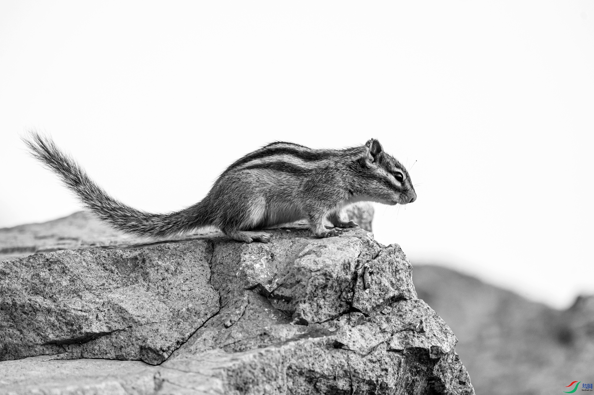 _DSC40040.jpg