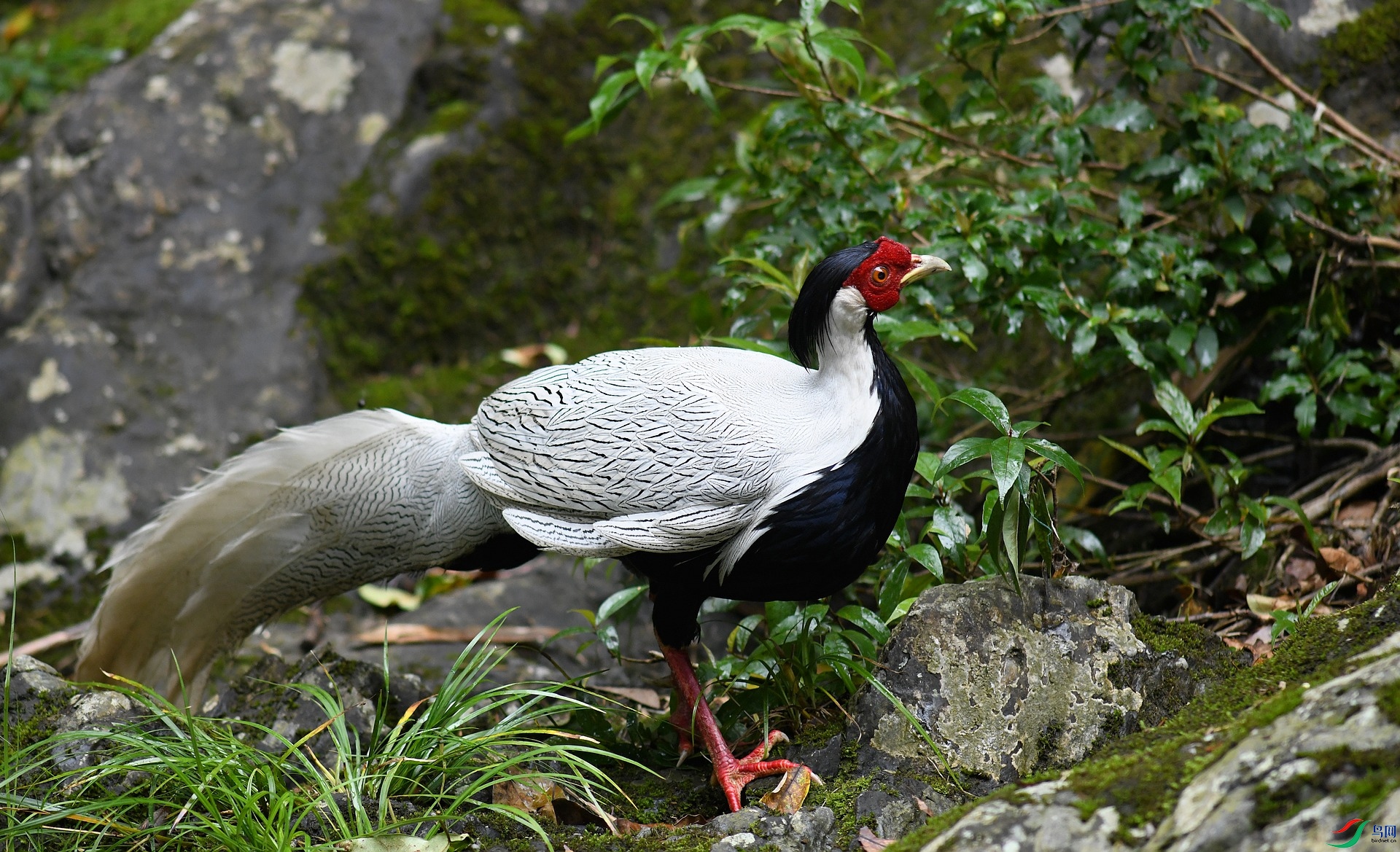 DSC_6367.jpg