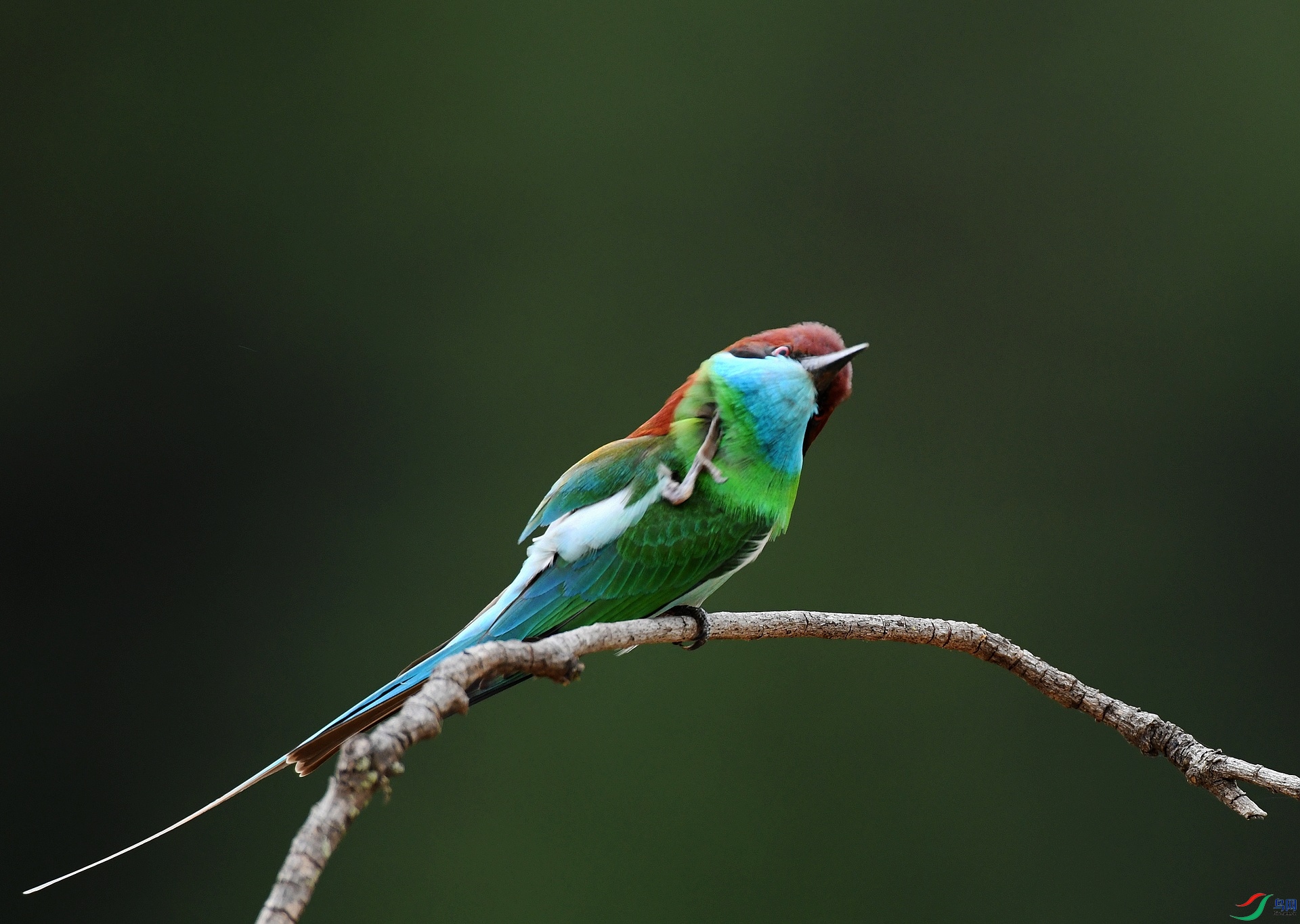 DSC_6372.jpg