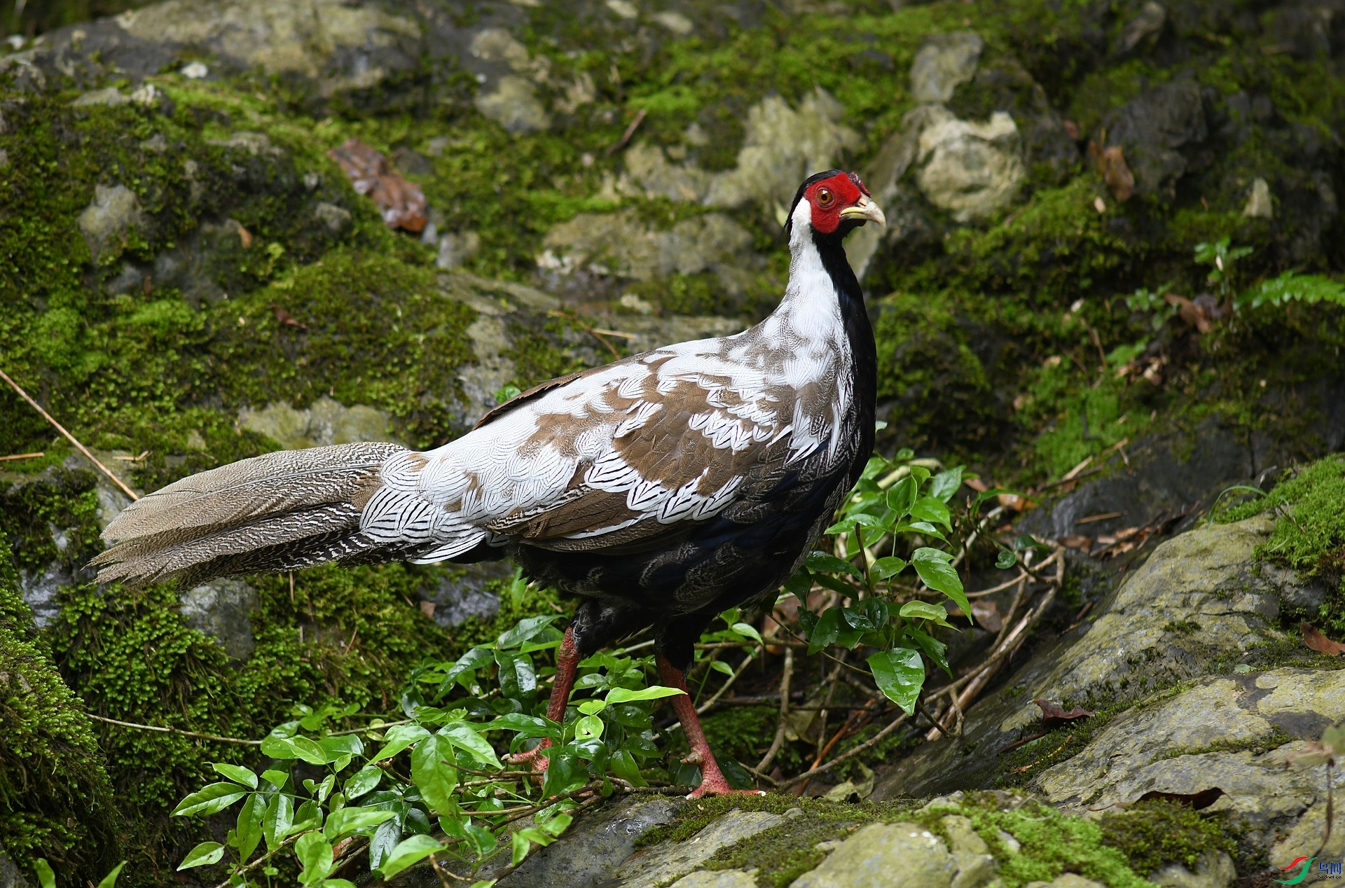 DSC_6272.jpg