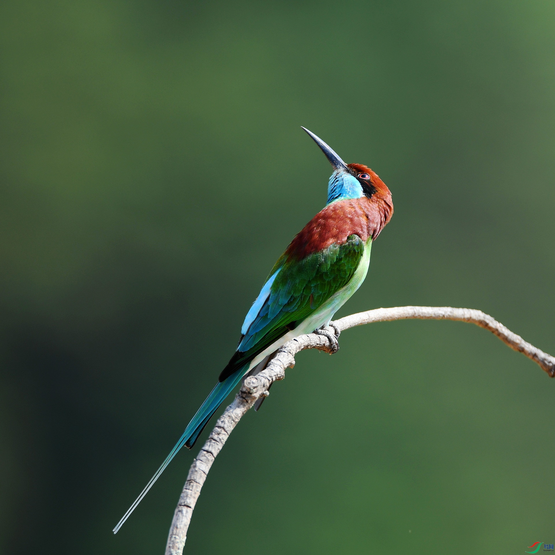 DSC_6269.jpg