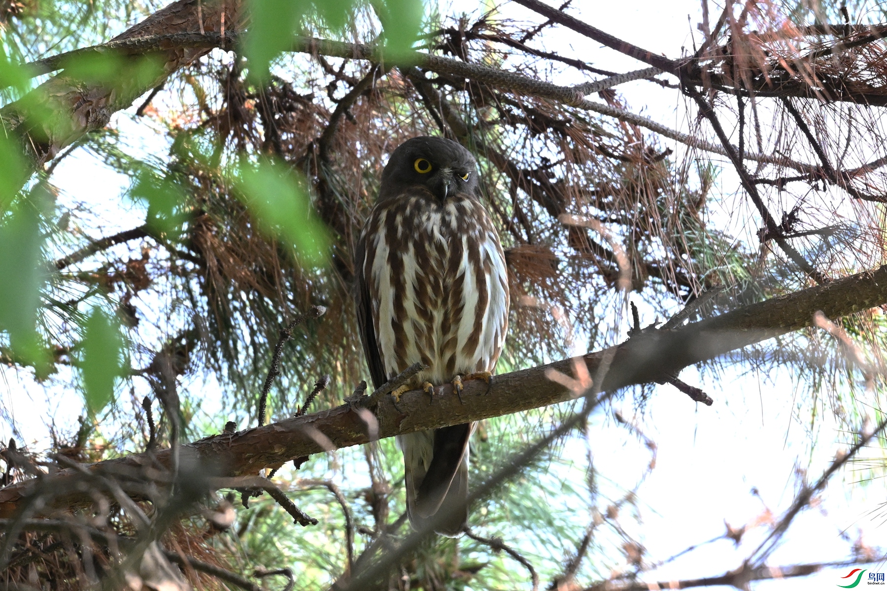 DSC_3351.JPG